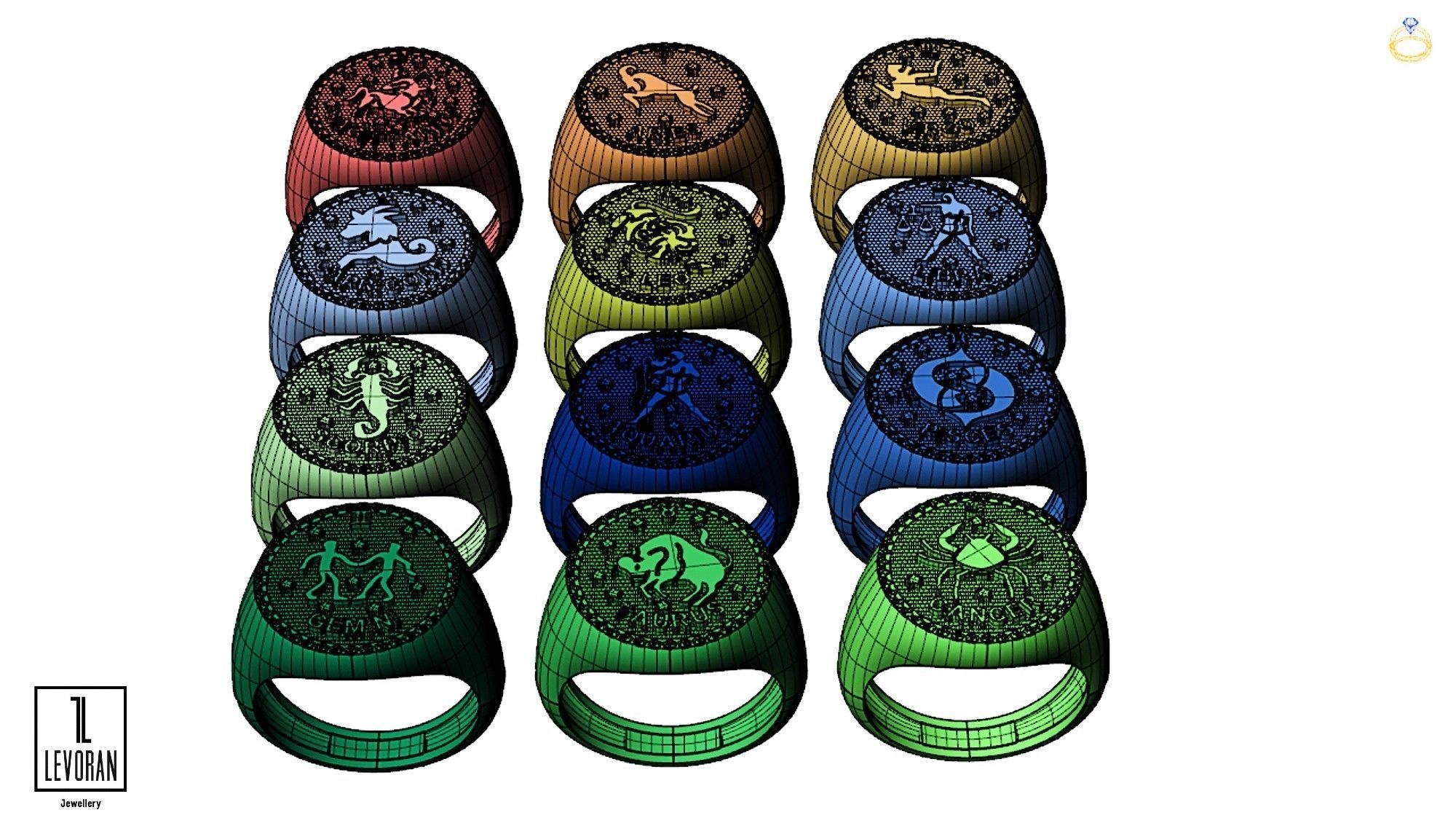 capricorn  zodiac ring collection 3D print model_3
