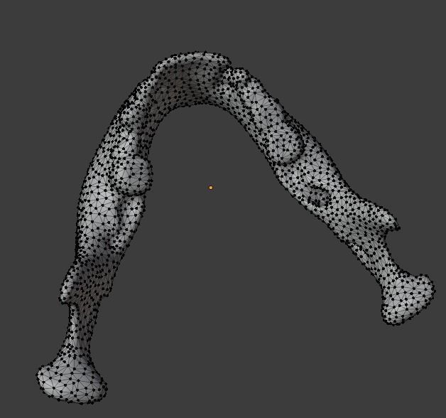 mandible human jaw Free 3D model_2