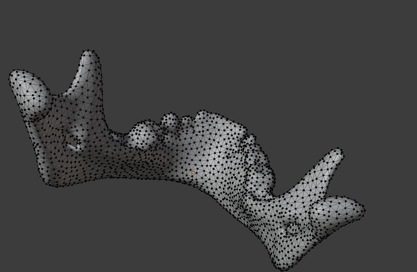 mandible human jaw Free 3D model_1