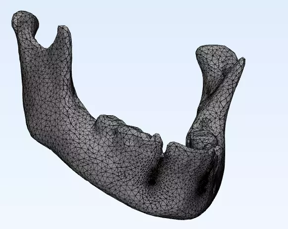 mandible human jaw Free 3D model_0