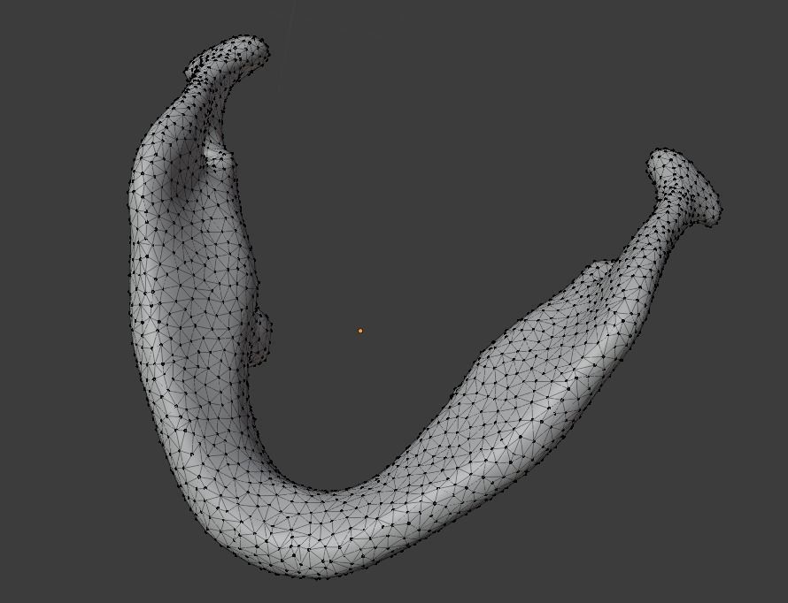 mandible human jaw Free 3D model_3