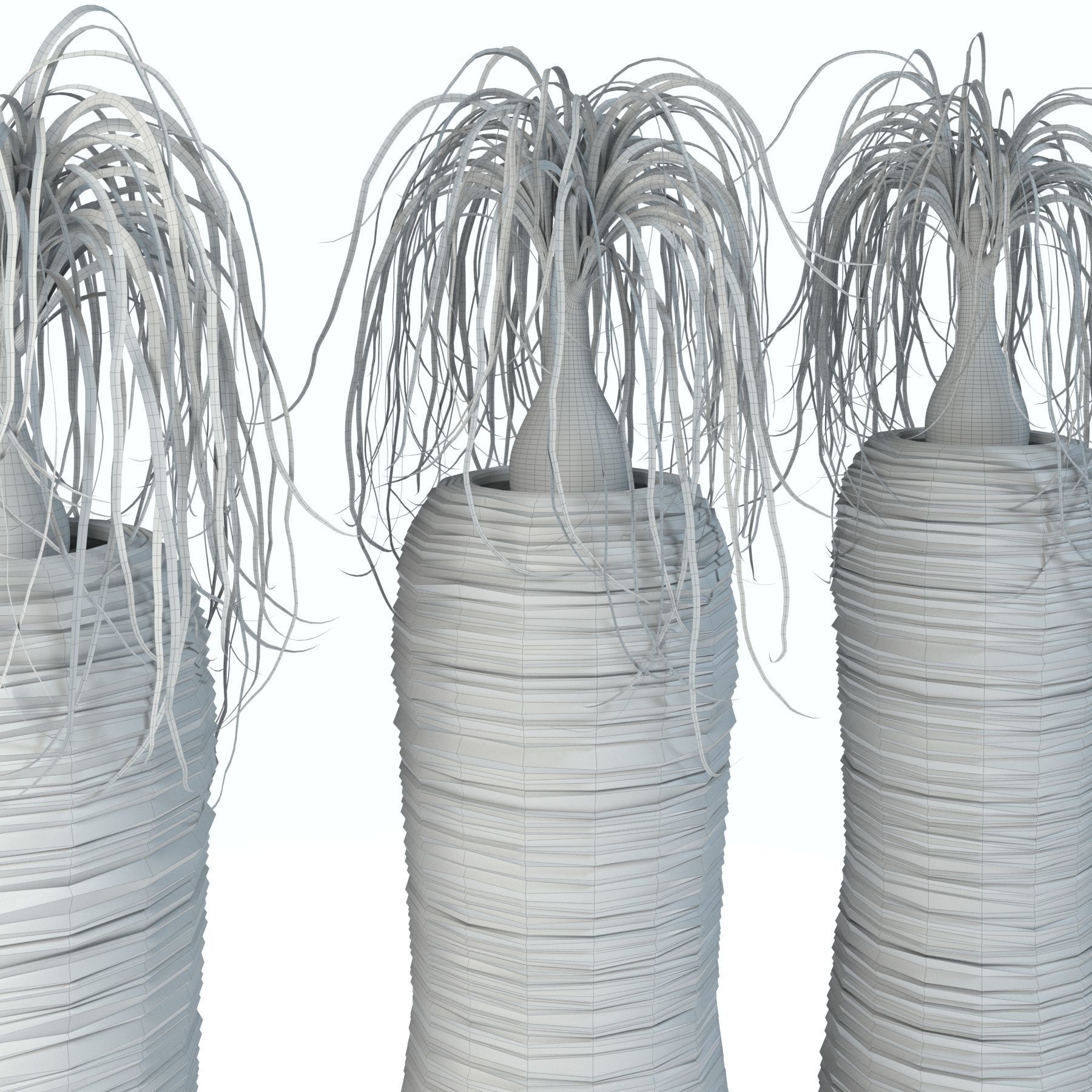 Nolina palm in white pot 3D model_5