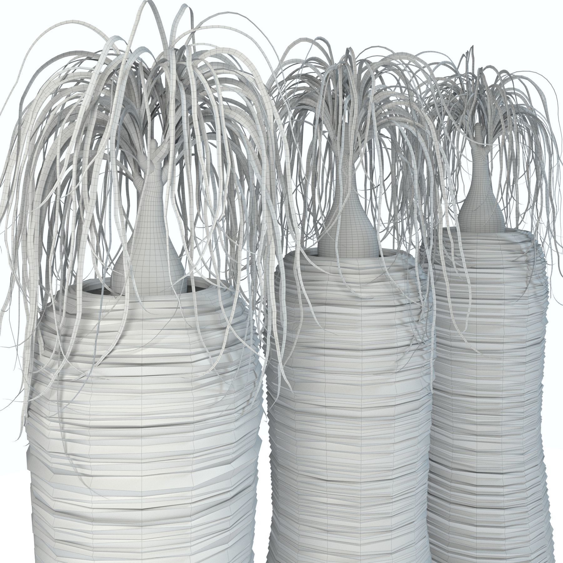 Nolina palm in white pot 3D model_4