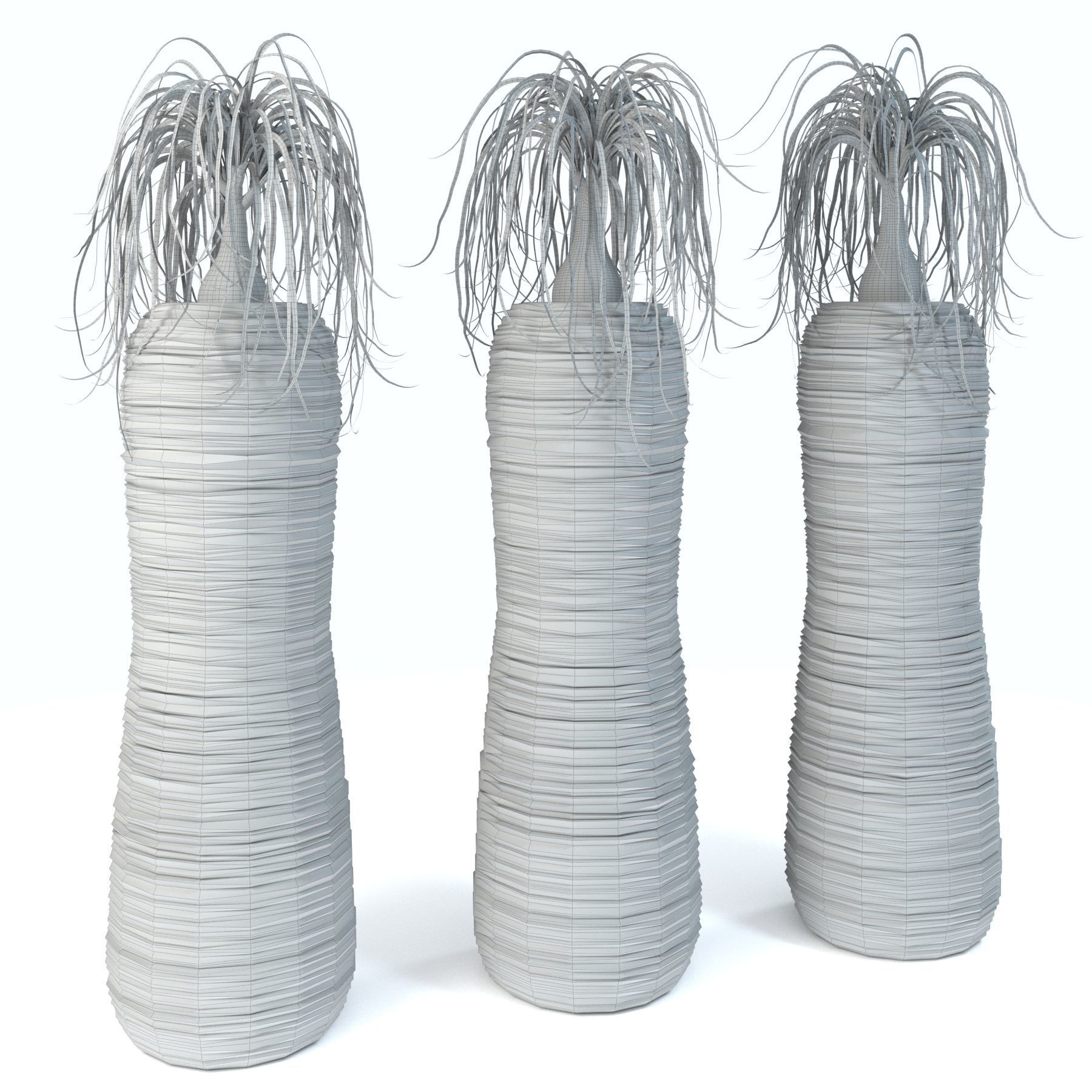 Nolina palm in white pot 3D model_3