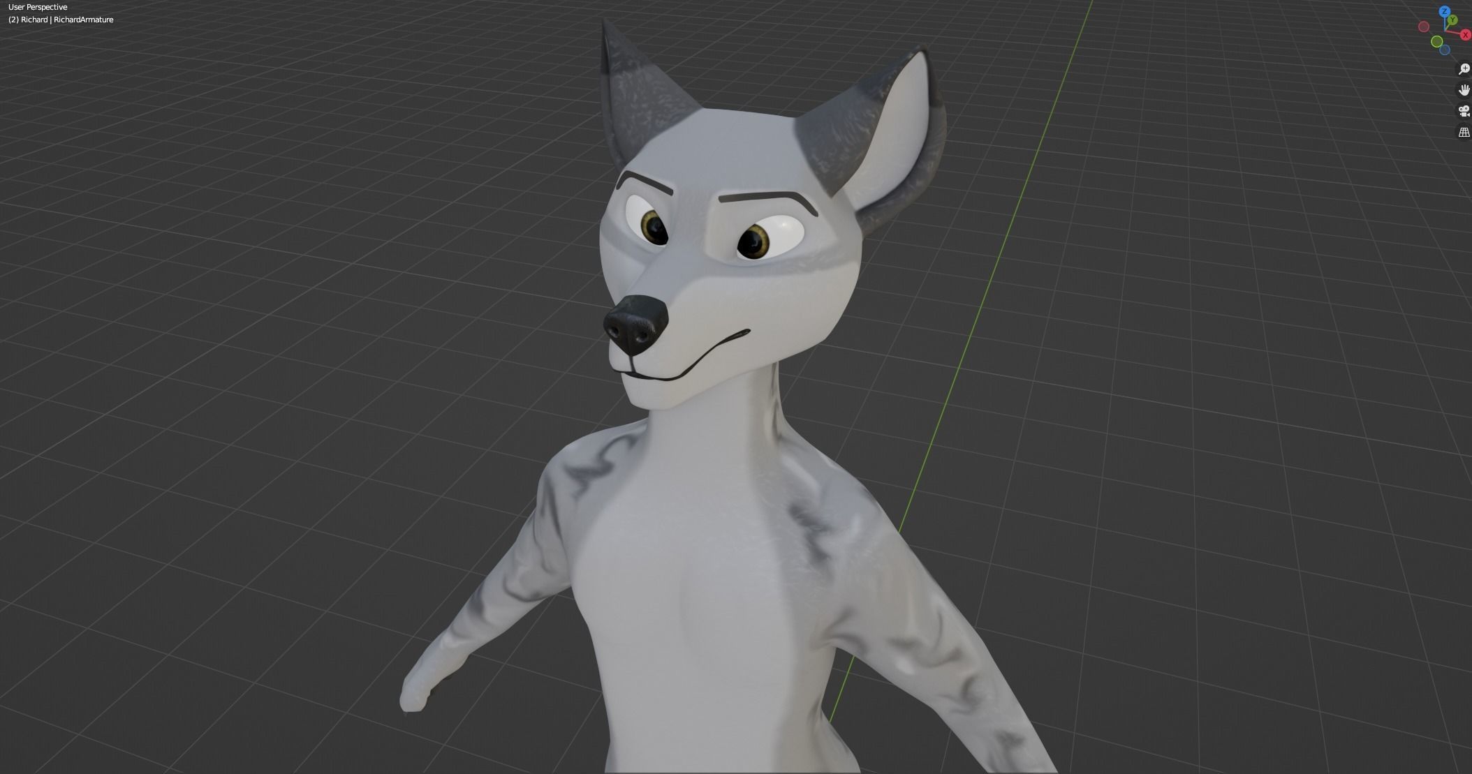 Richard Anthro Wolf 3D model_45