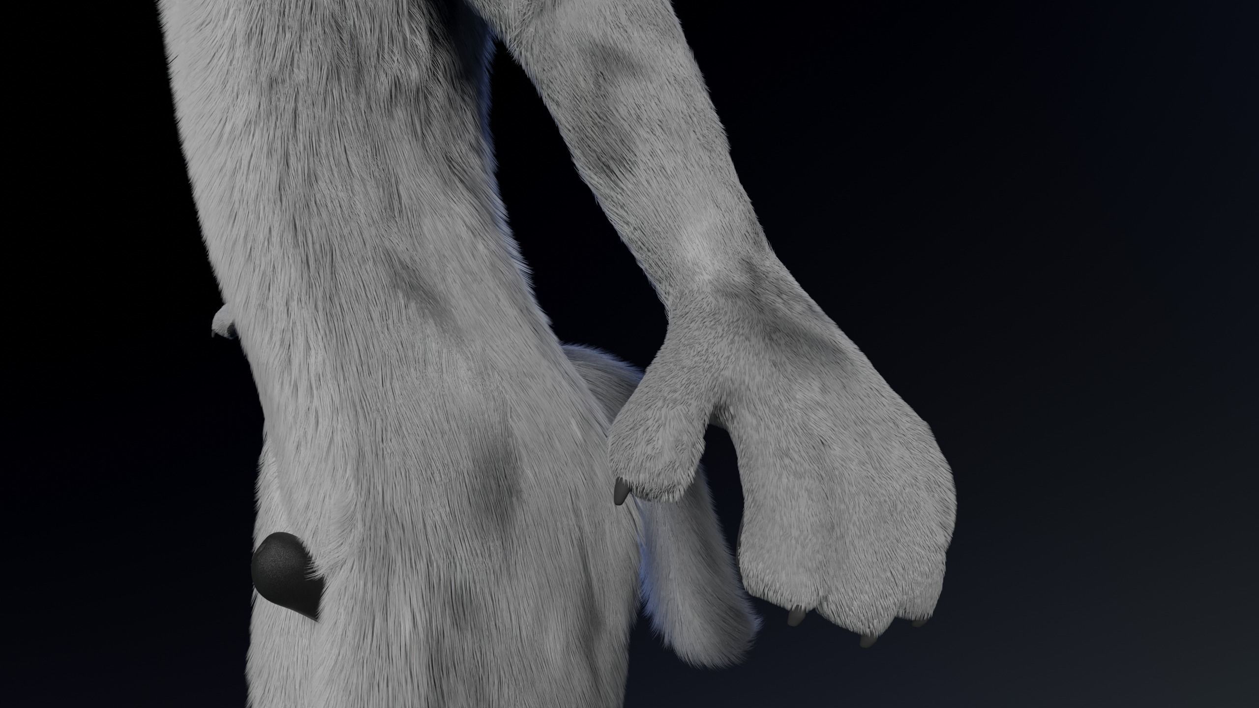 Richard Anthro Wolf 3D model_8