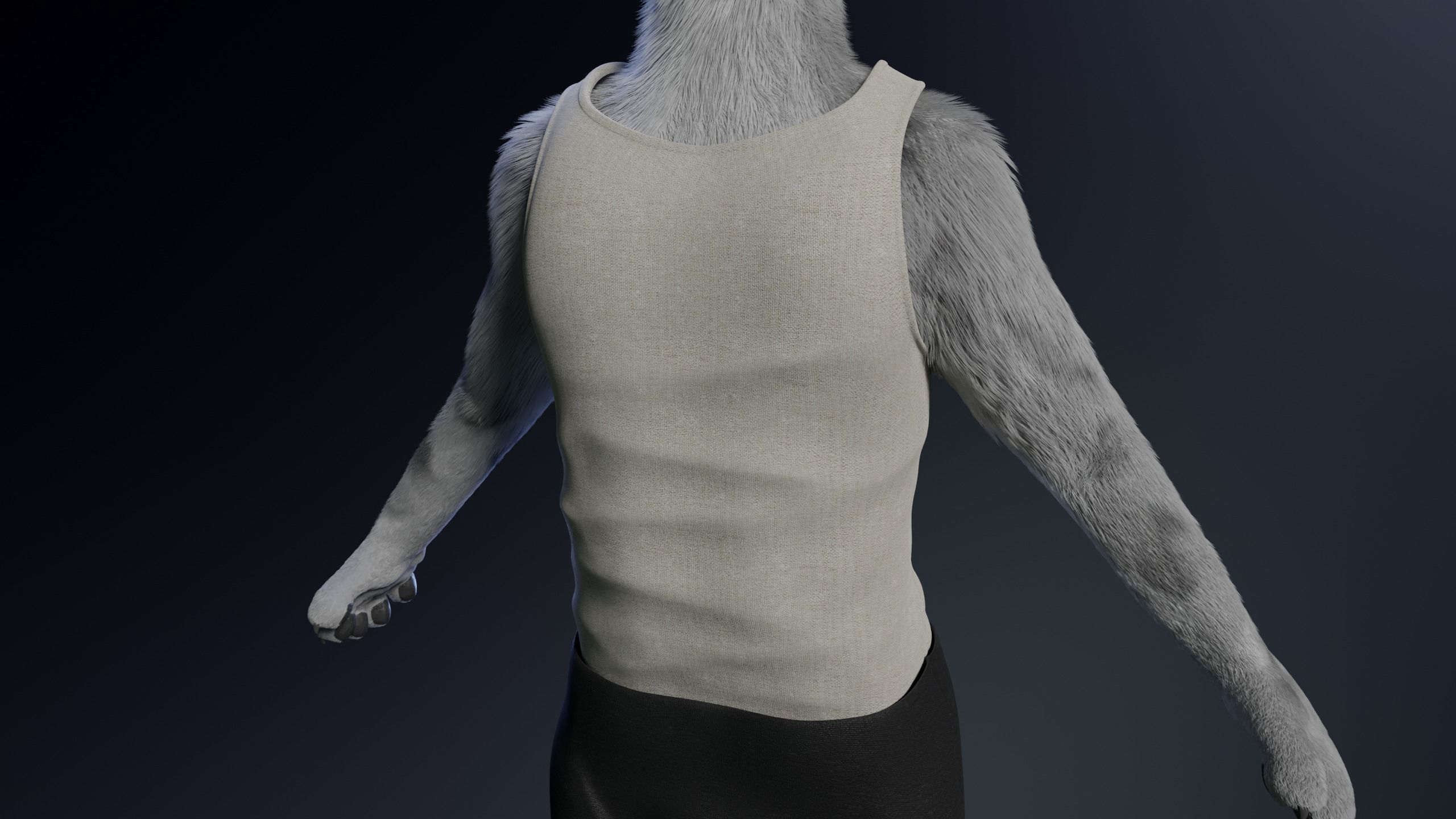 Richard Anthro Wolf 3D model_25