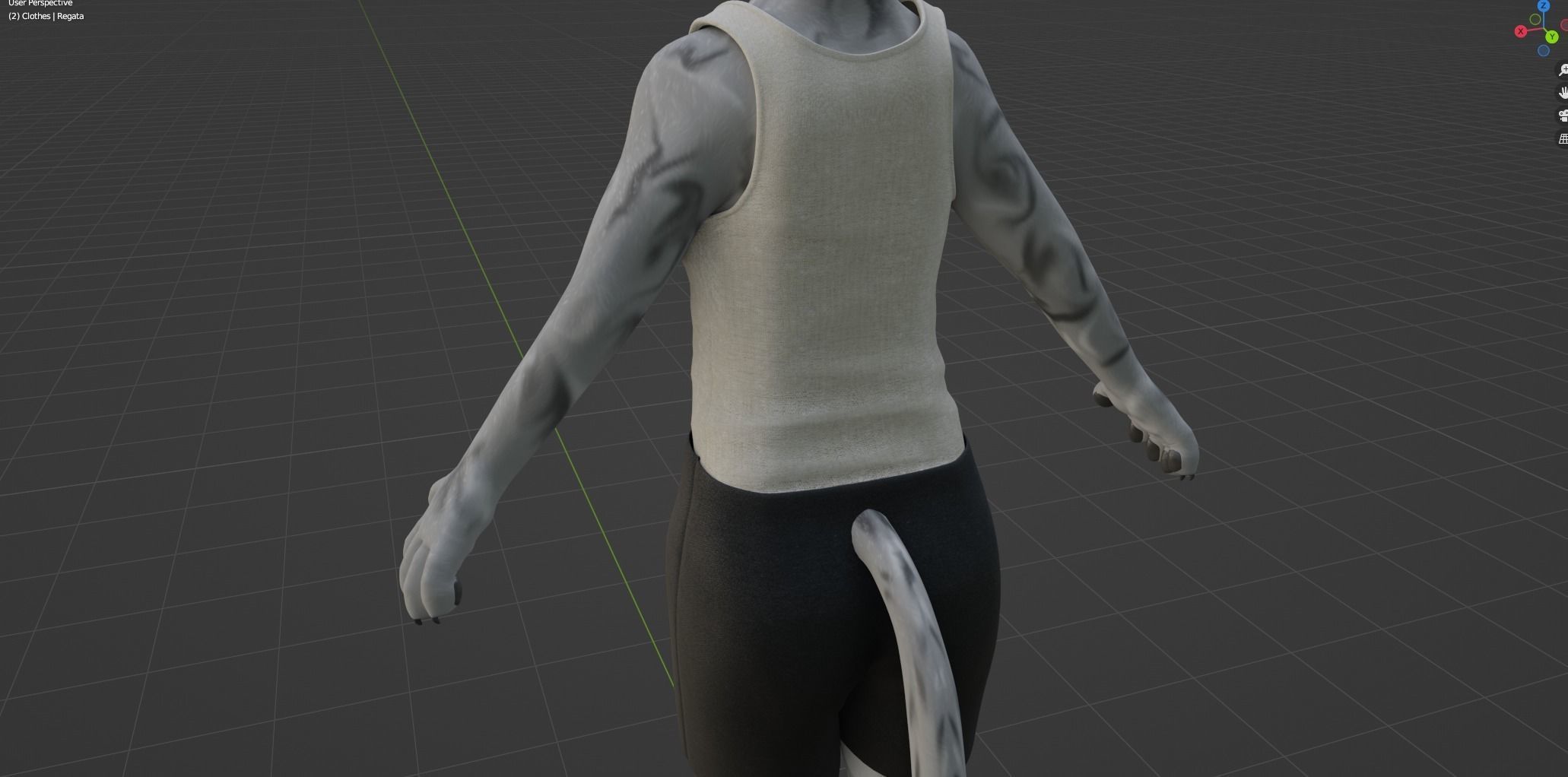 Richard Anthro Wolf 3D model_72