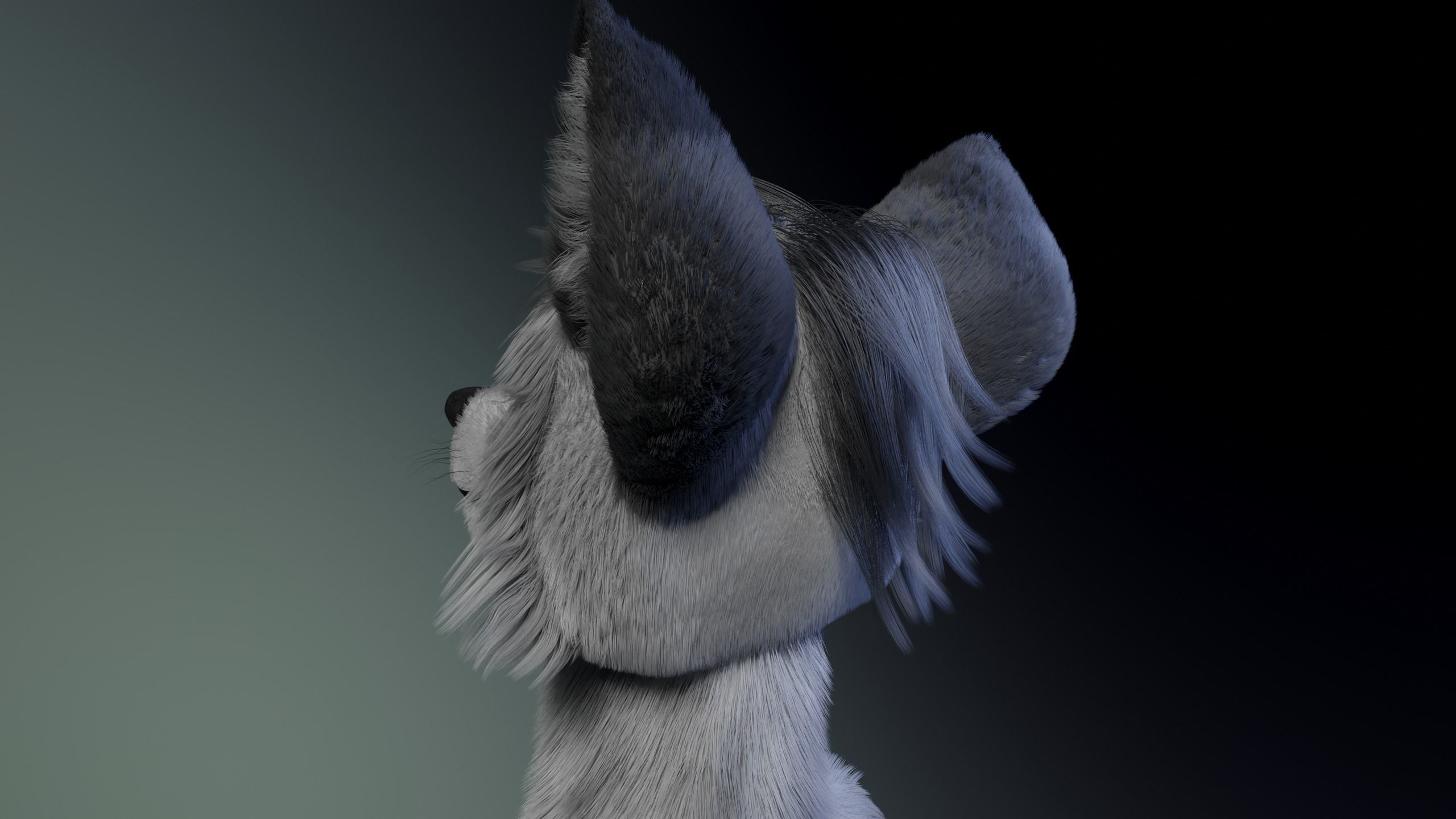 Richard Anthro Wolf 3D model_5