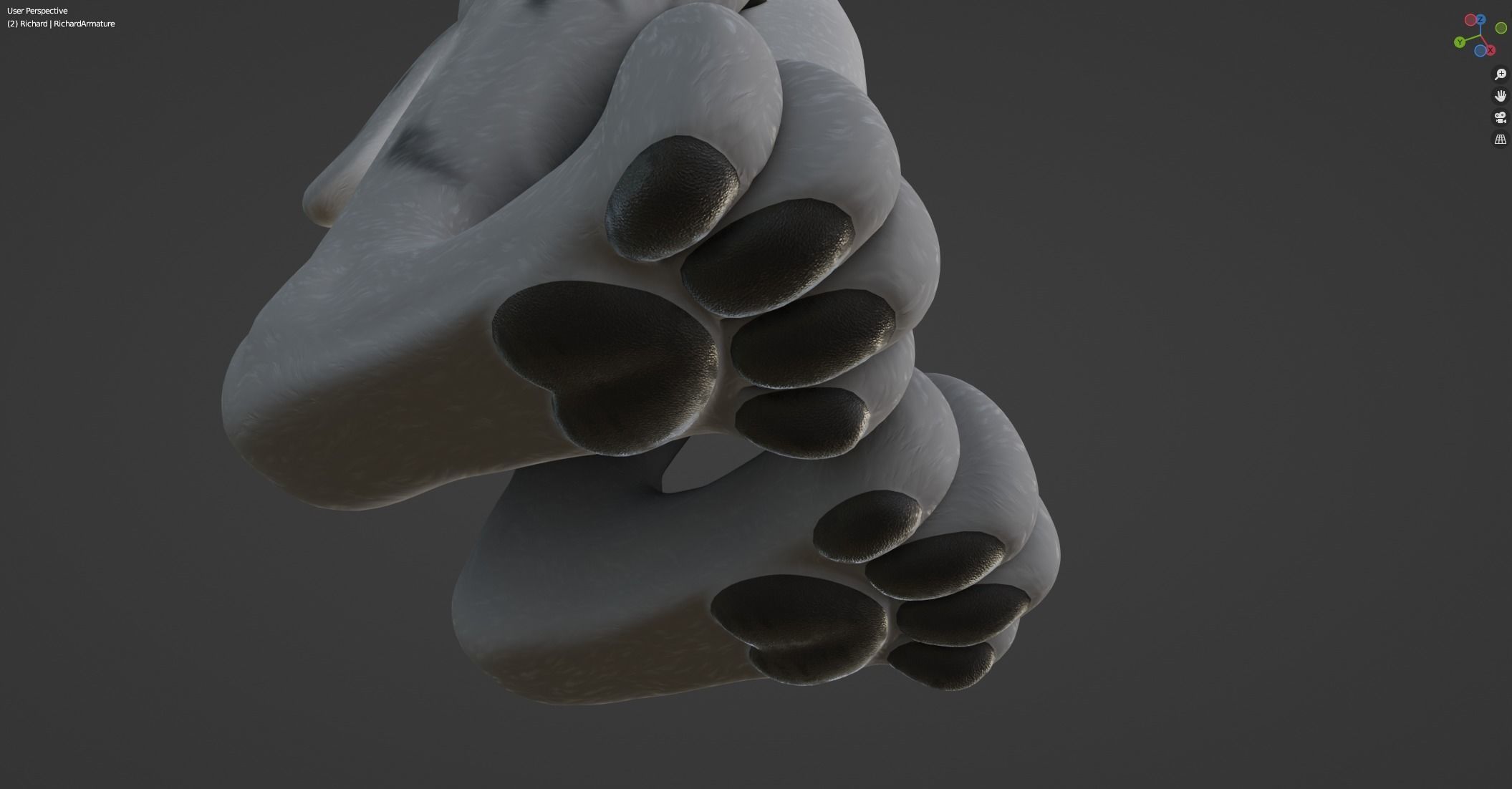 Richard Anthro Wolf 3D model_49