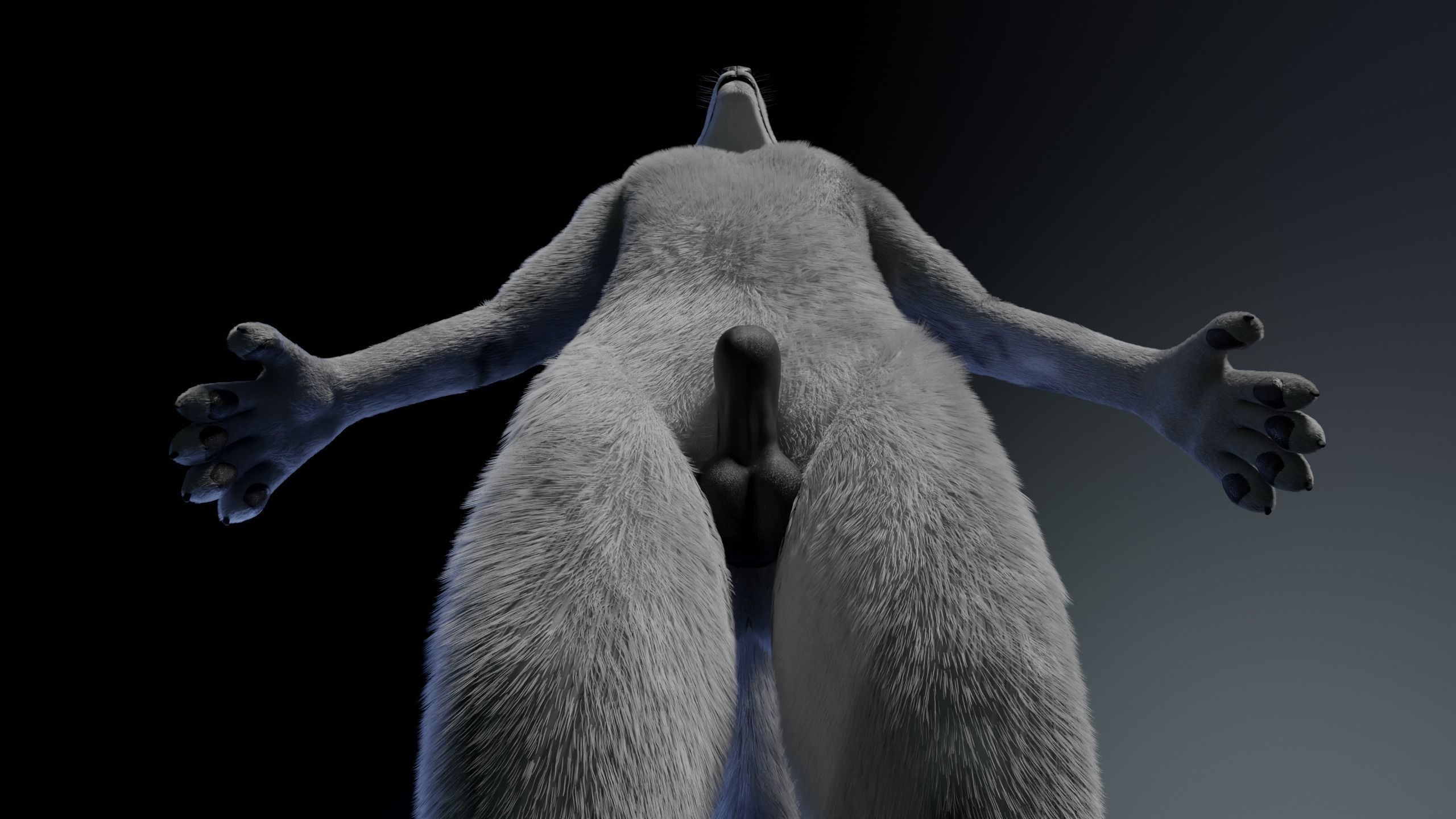 Richard Anthro Wolf 3D model_15