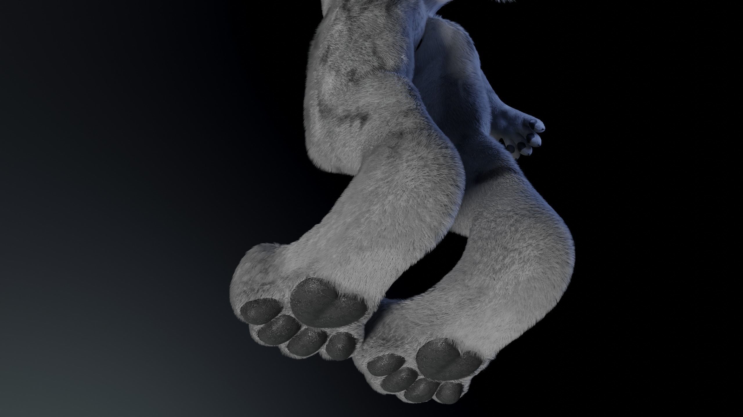Richard Anthro Wolf 3D model_11