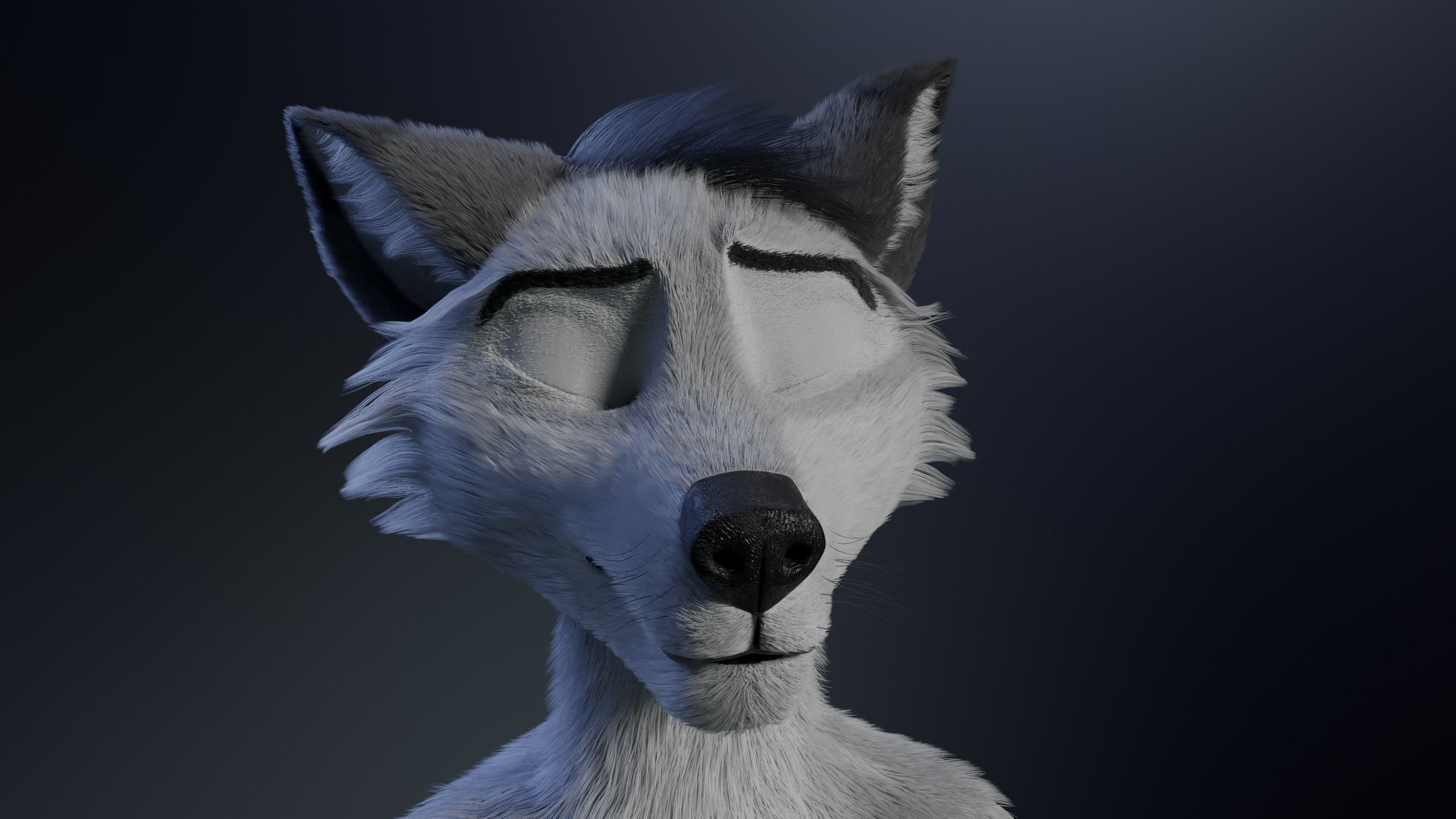 Richard Anthro Wolf 3D model_32
