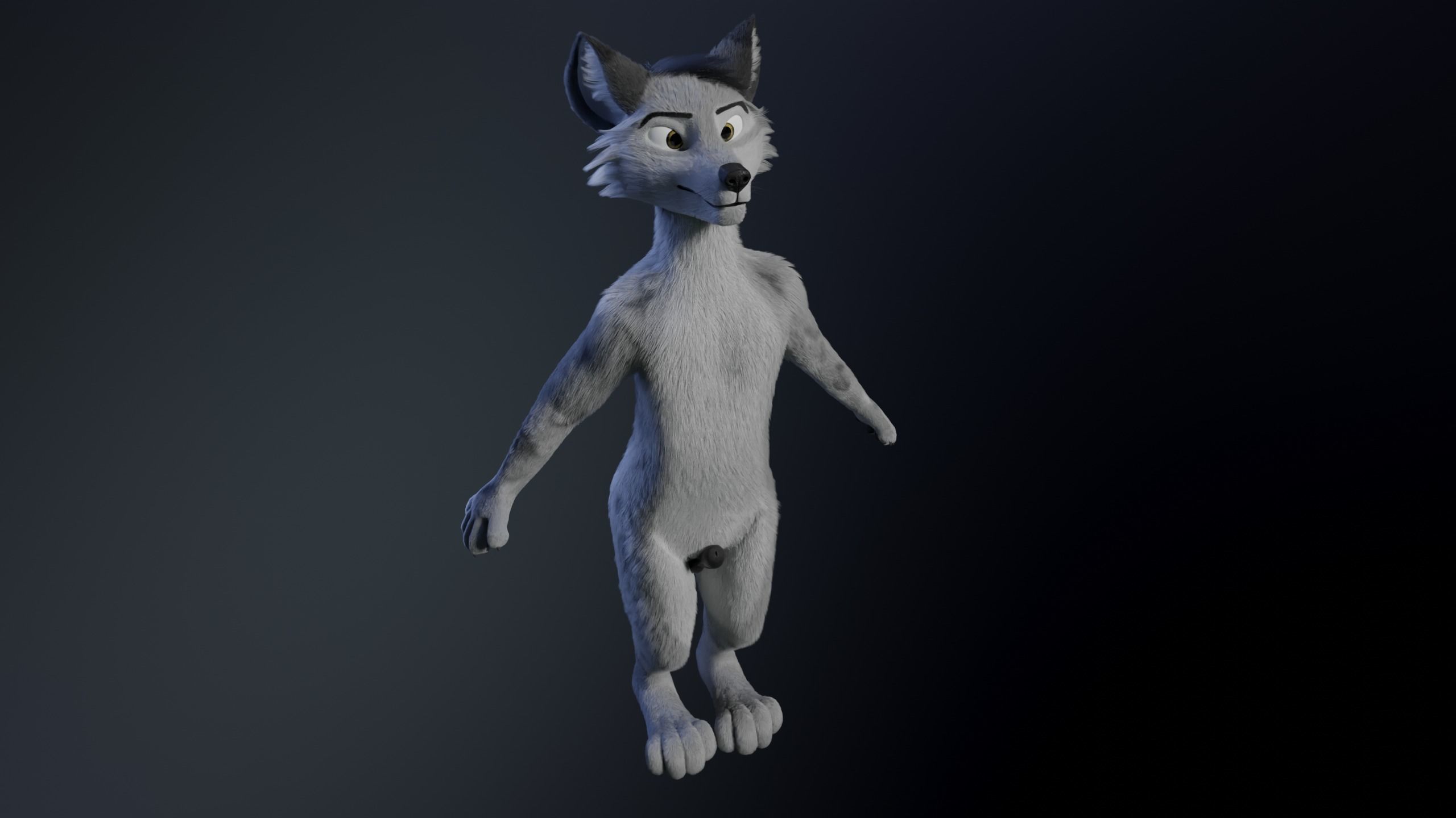 Richard Anthro Wolf 3D model_6