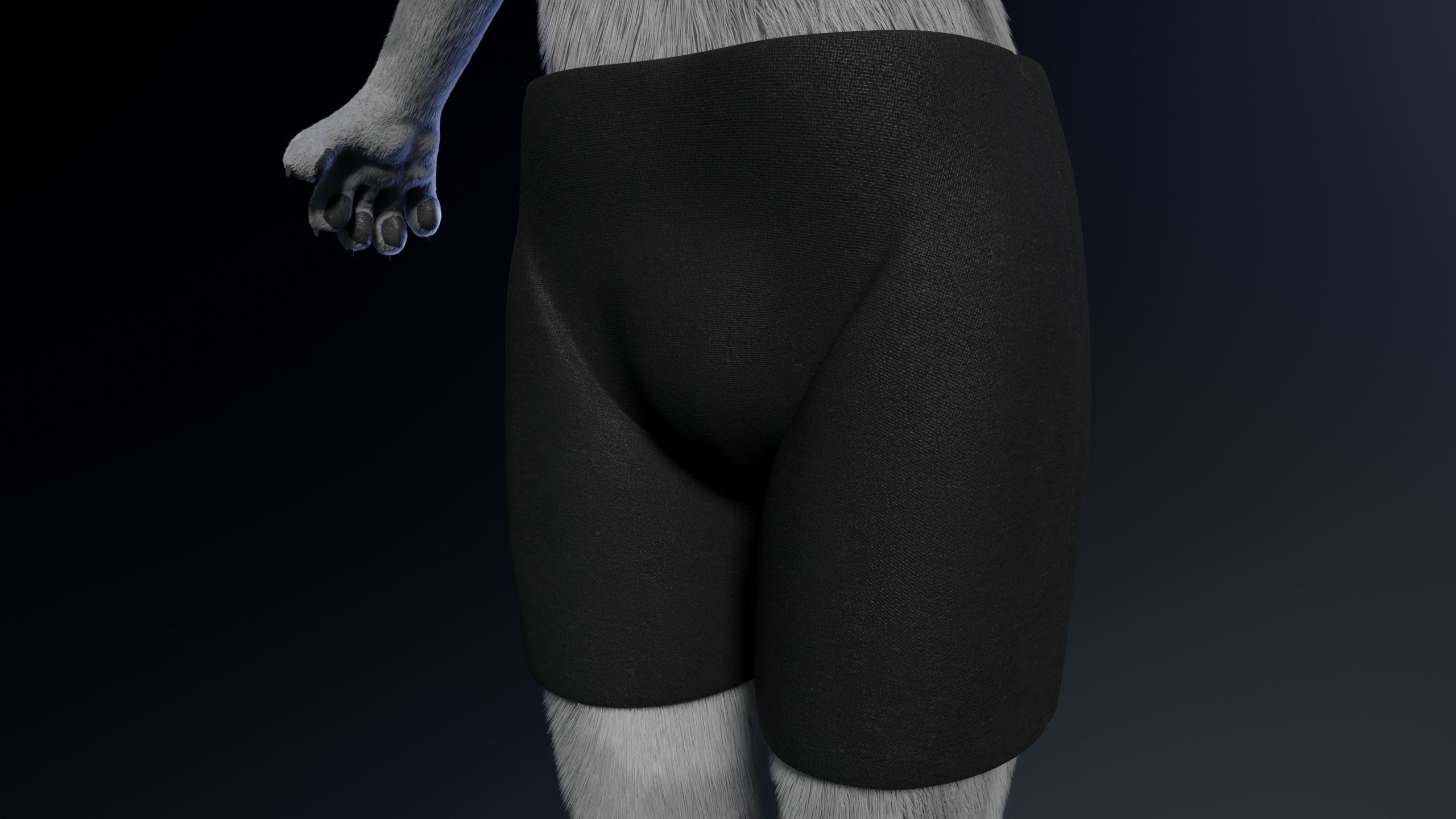 Richard Anthro Wolf 3D model_24