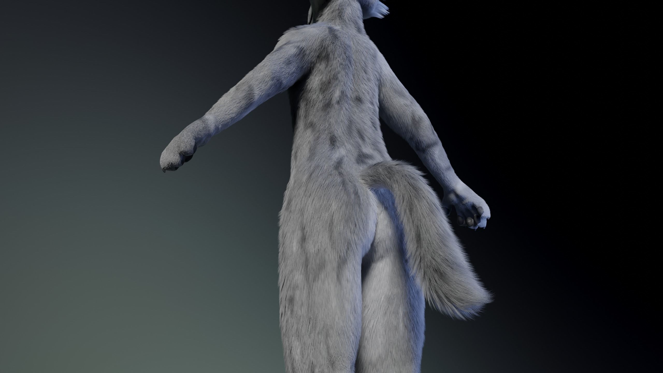 Richard Anthro Wolf 3D model_7
