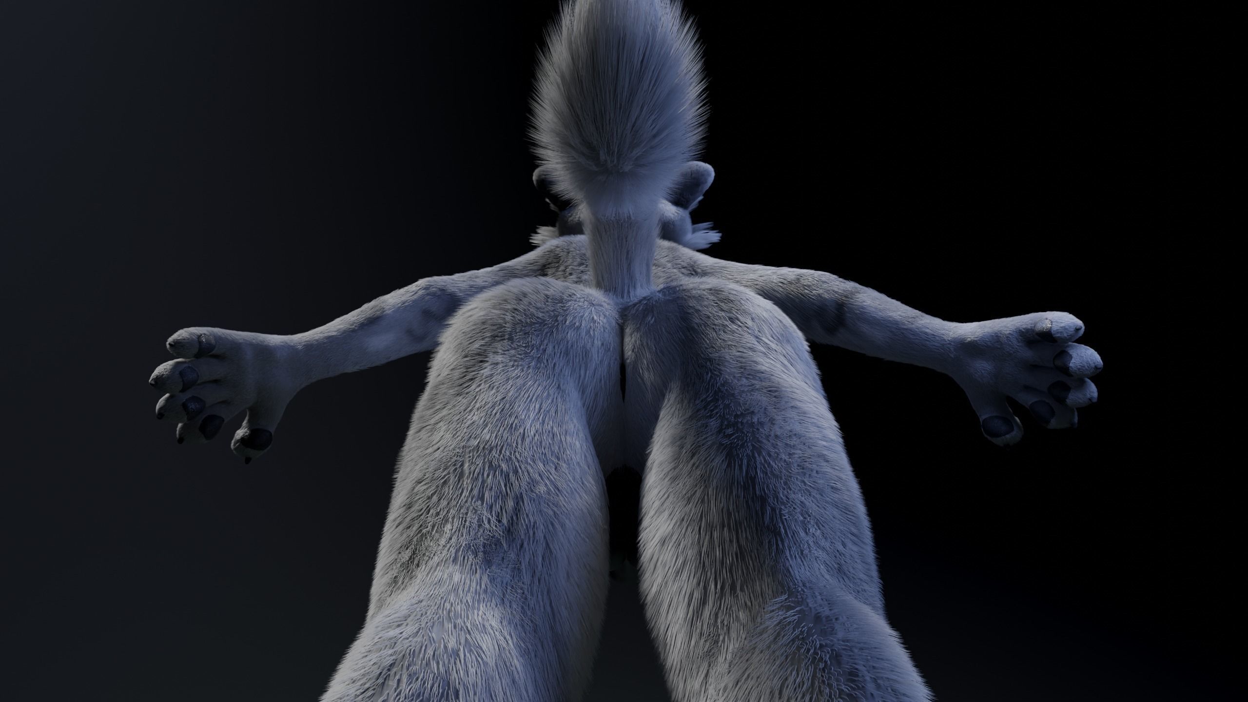 Richard Anthro Wolf 3D model_16