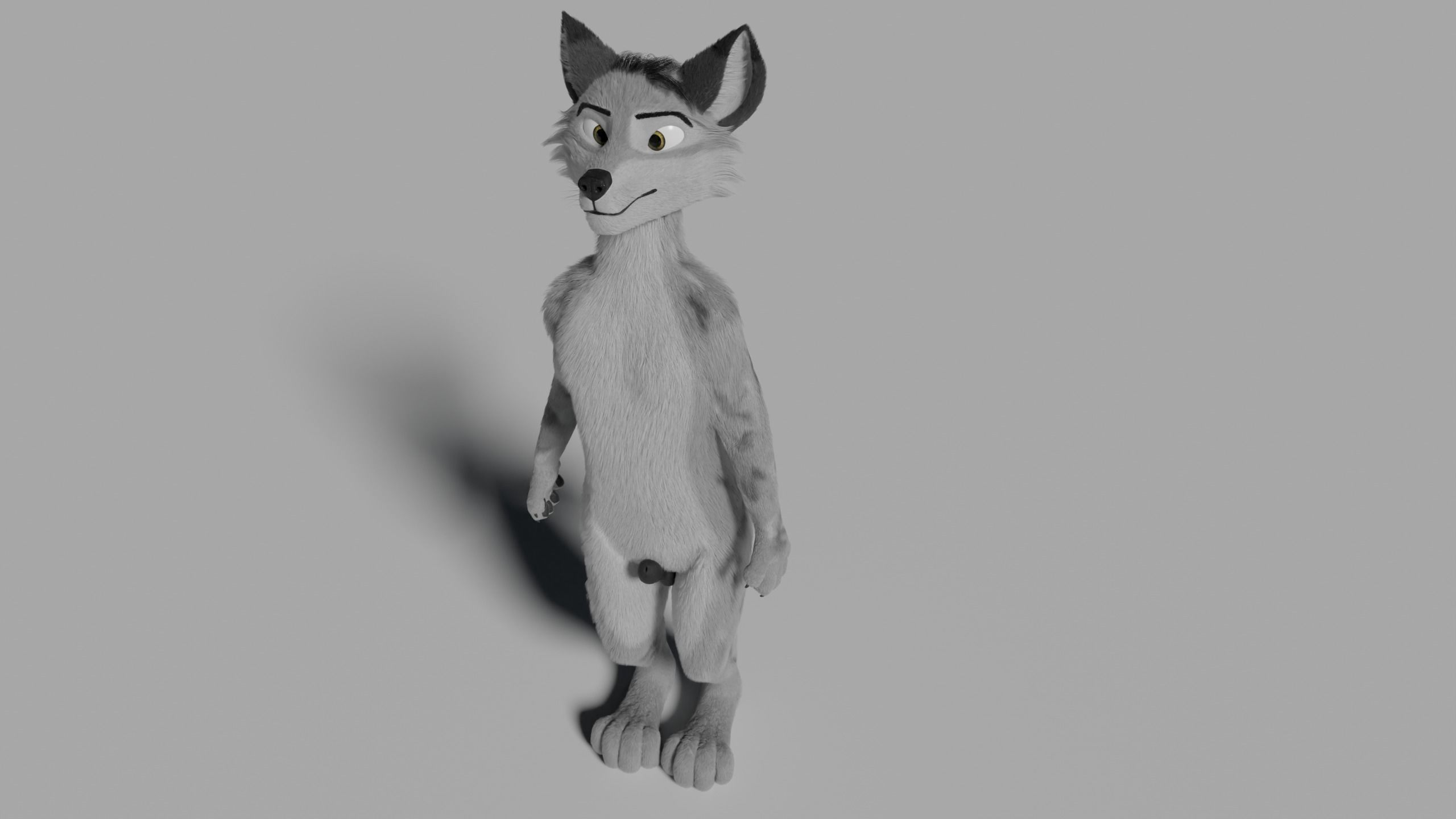 Richard Anthro Wolf 3D model_34