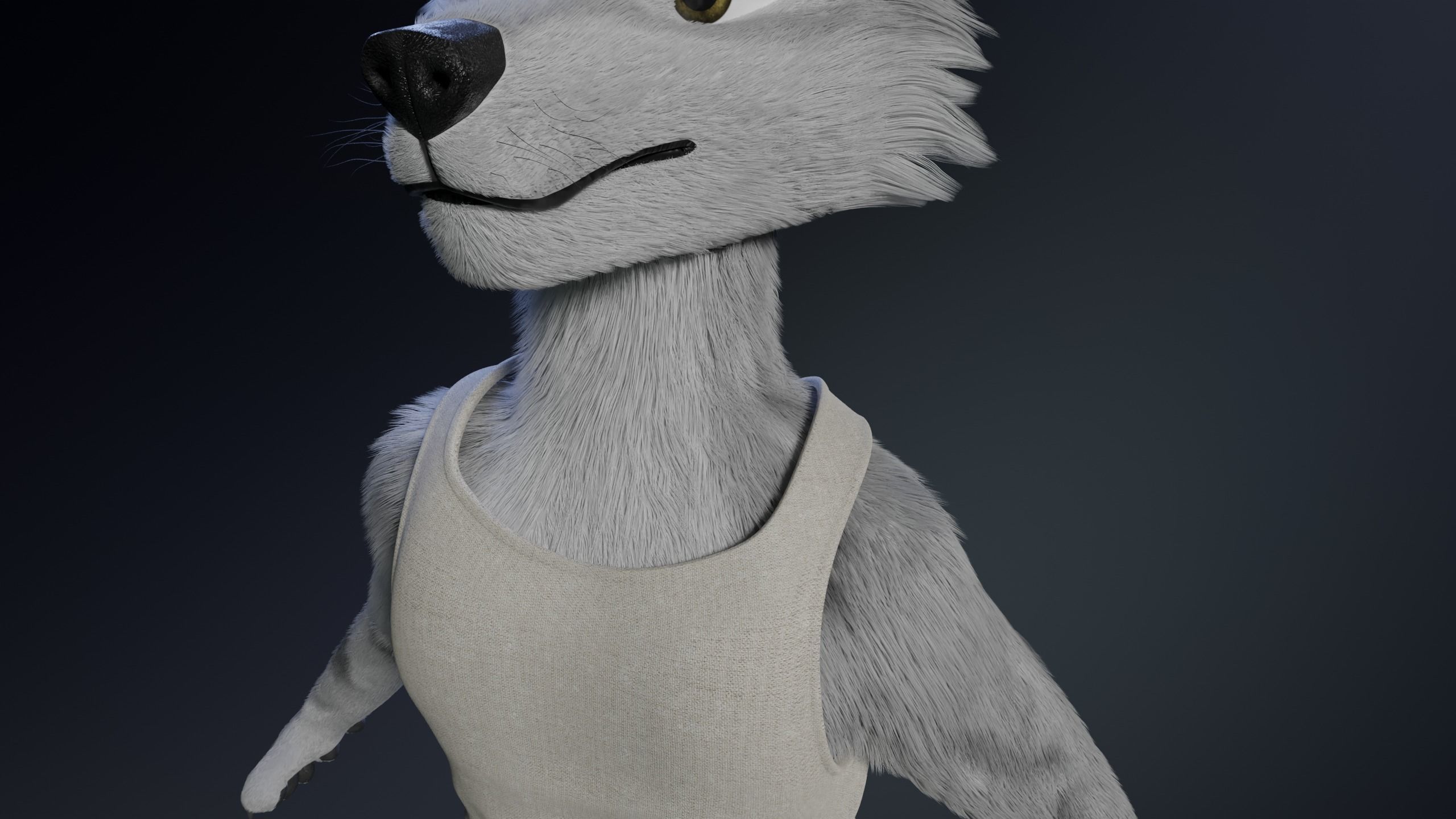 Richard Anthro Wolf 3D model_26