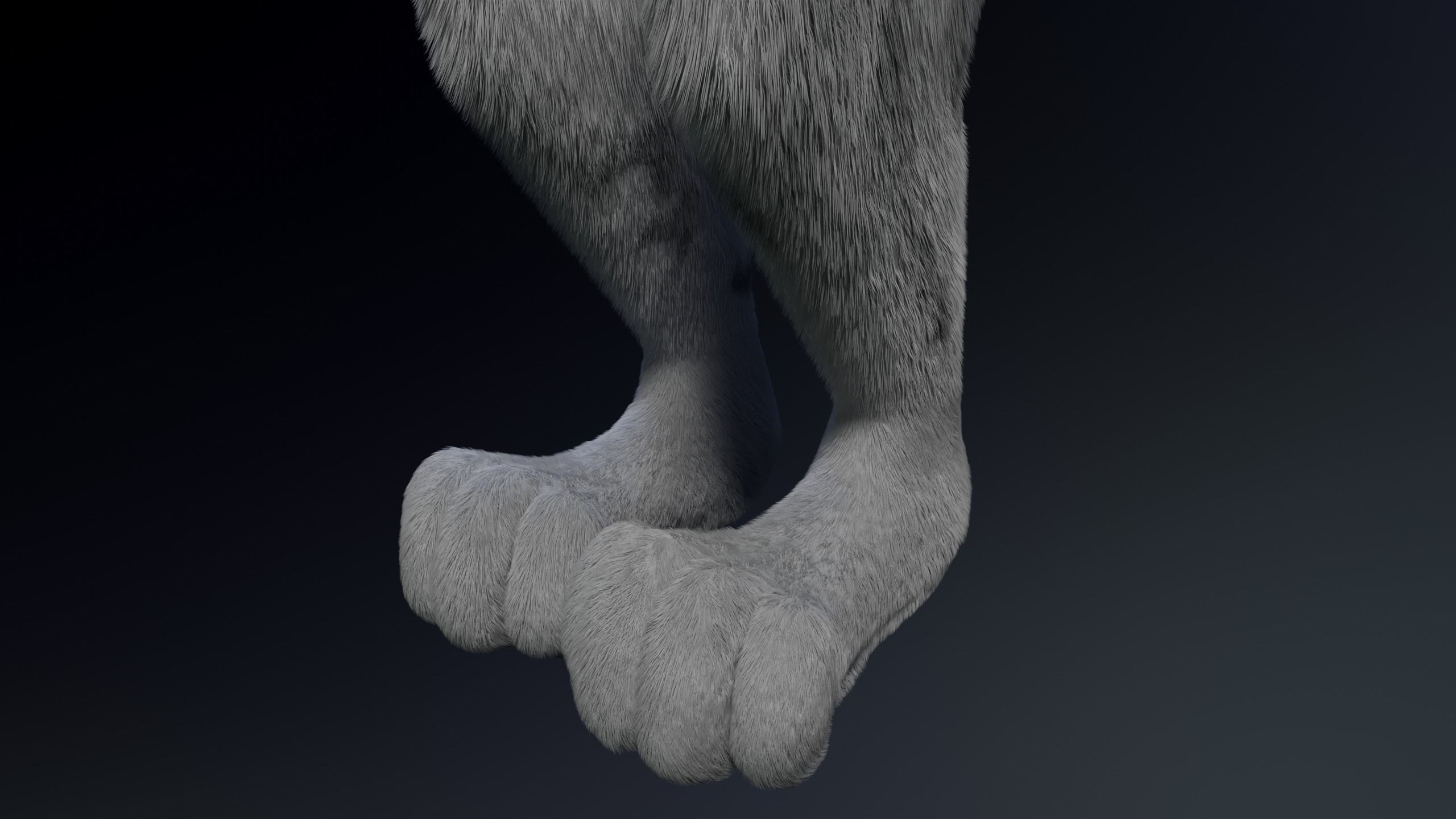 Richard Anthro Wolf 3D model_10