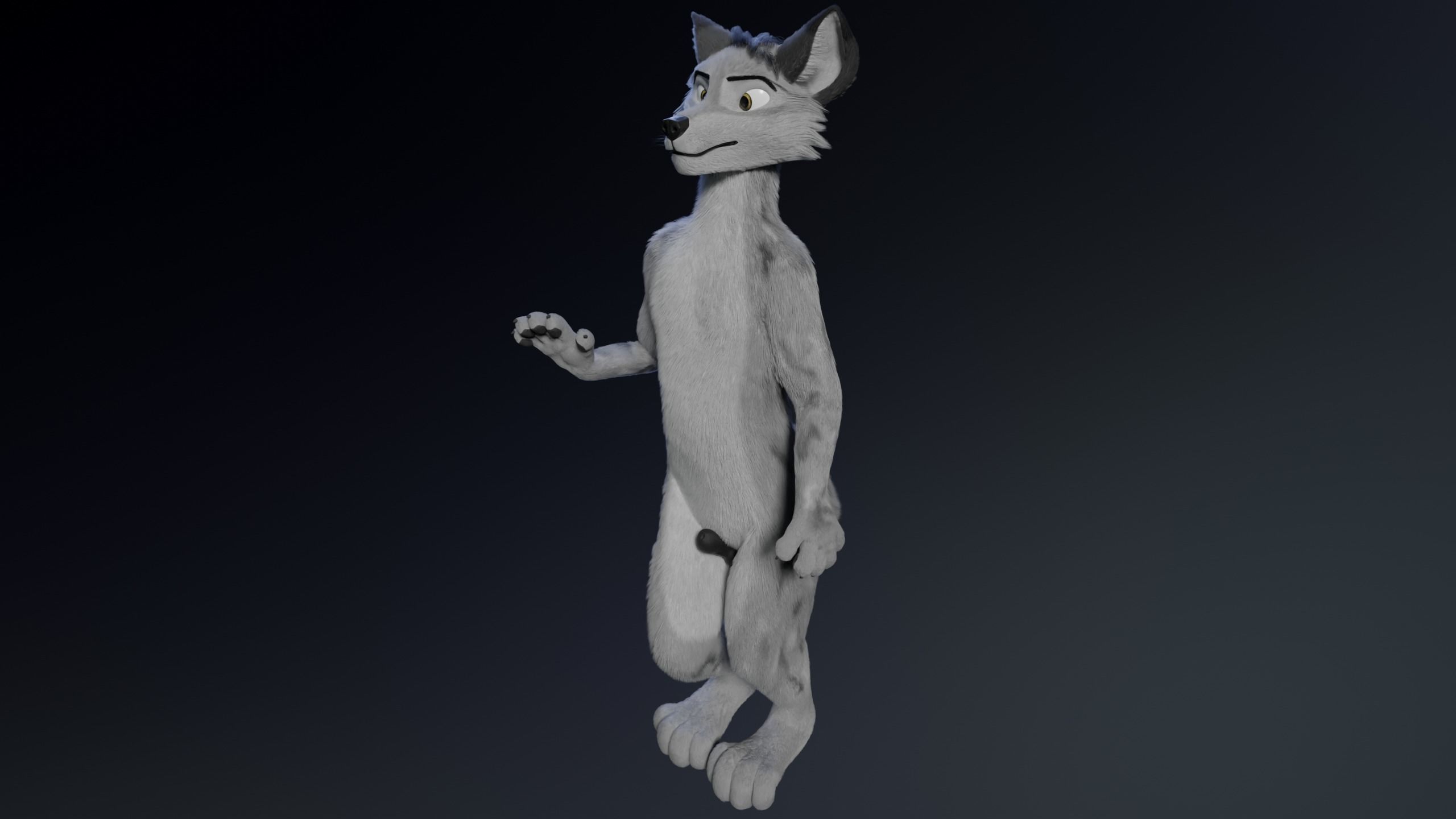 Richard Anthro Wolf 3D model_18