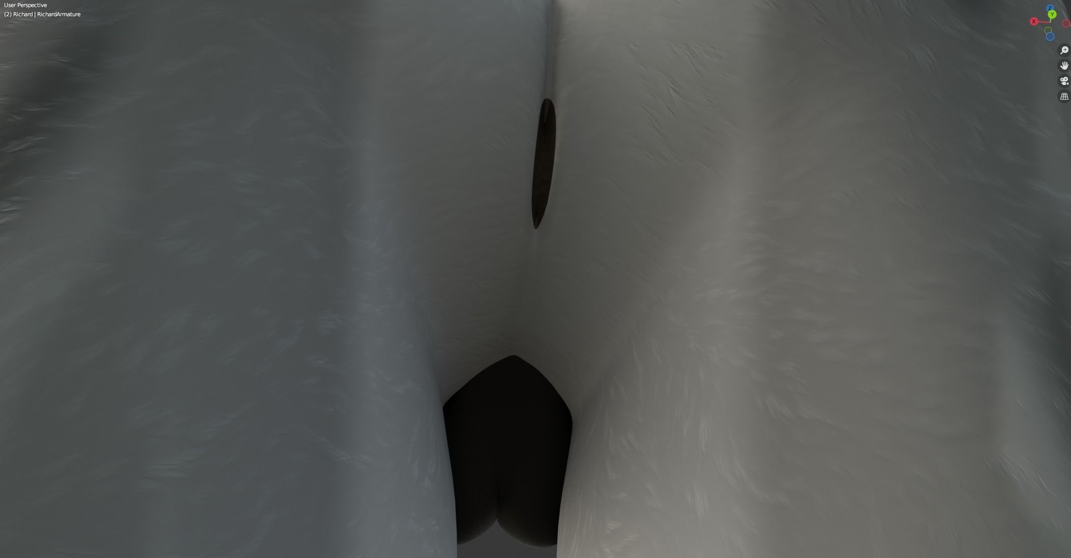 Richard Anthro Wolf 3D model_50