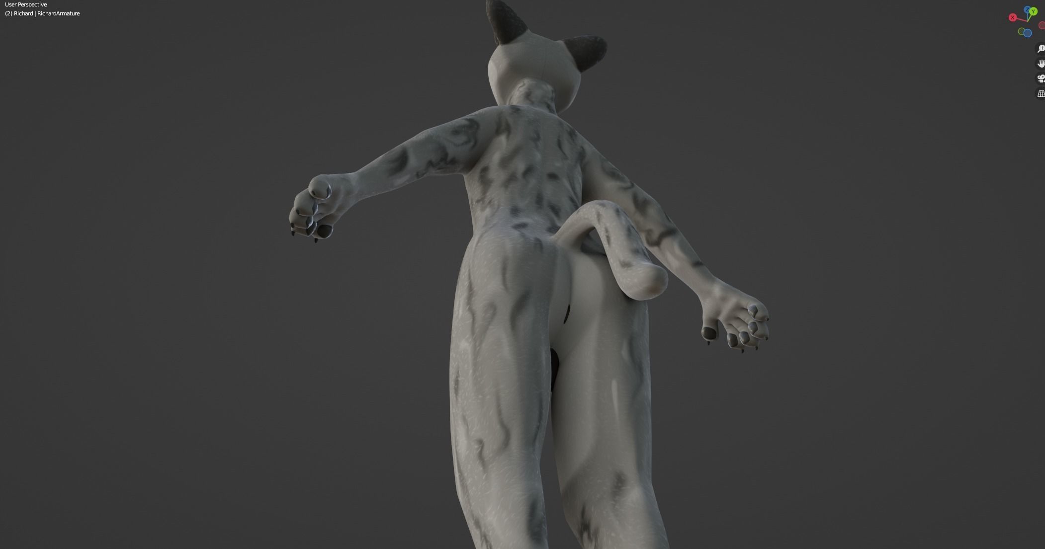 Richard Anthro Wolf 3D model_46