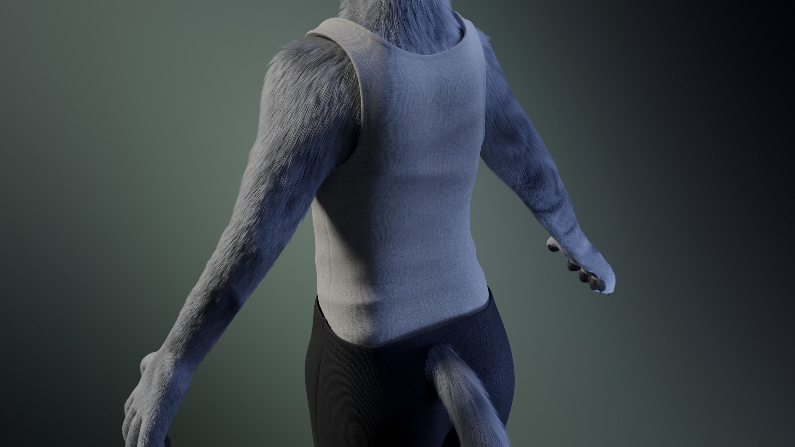 Richard Anthro Wolf 3D model_27