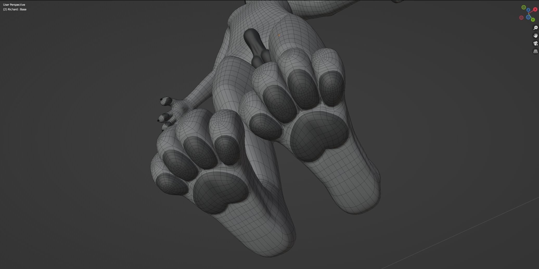 Richard Anthro Wolf 3D model_62