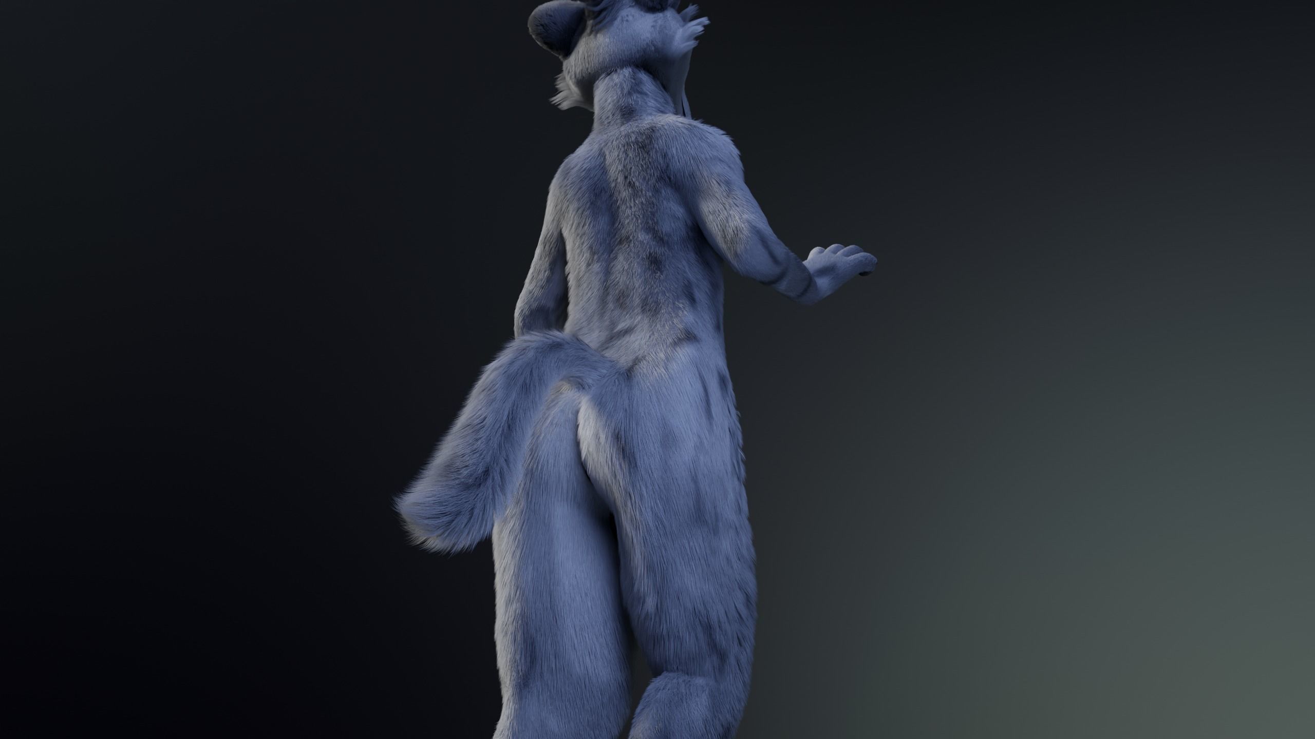Richard Anthro Wolf 3D model_20