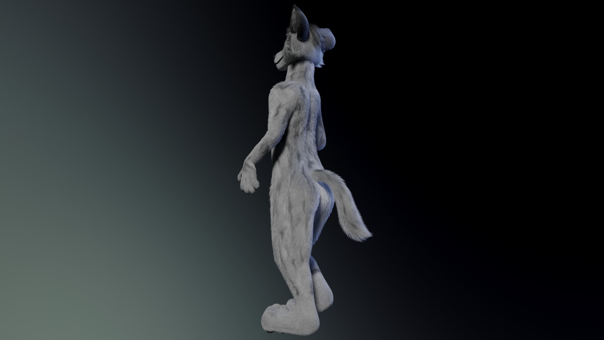 Richard Anthro Wolf 3D model_19