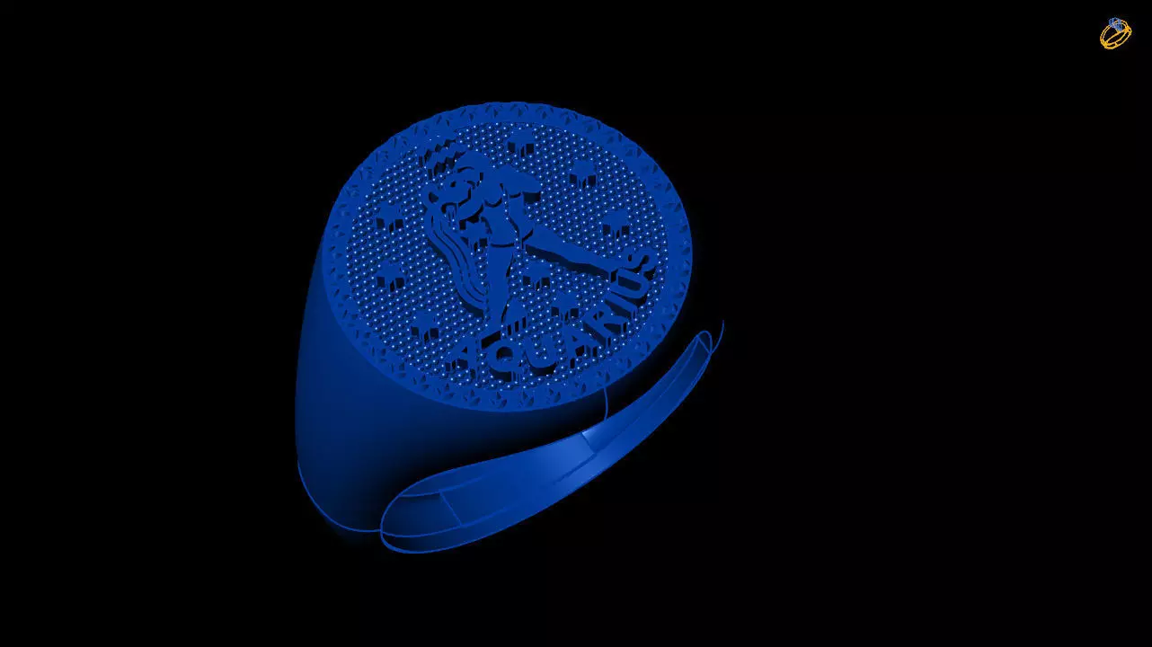 aquarius  zodiac ring collection 3D print model_0