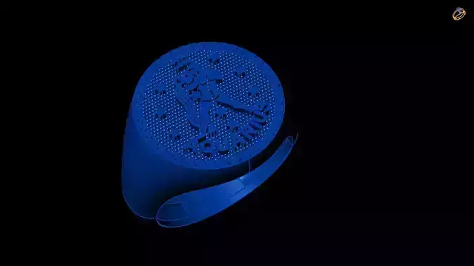 aquarius  zodiac ring collection 3D print model
