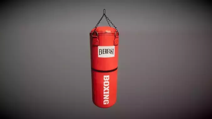 Punching Bag