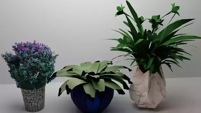 Plants flower in pot