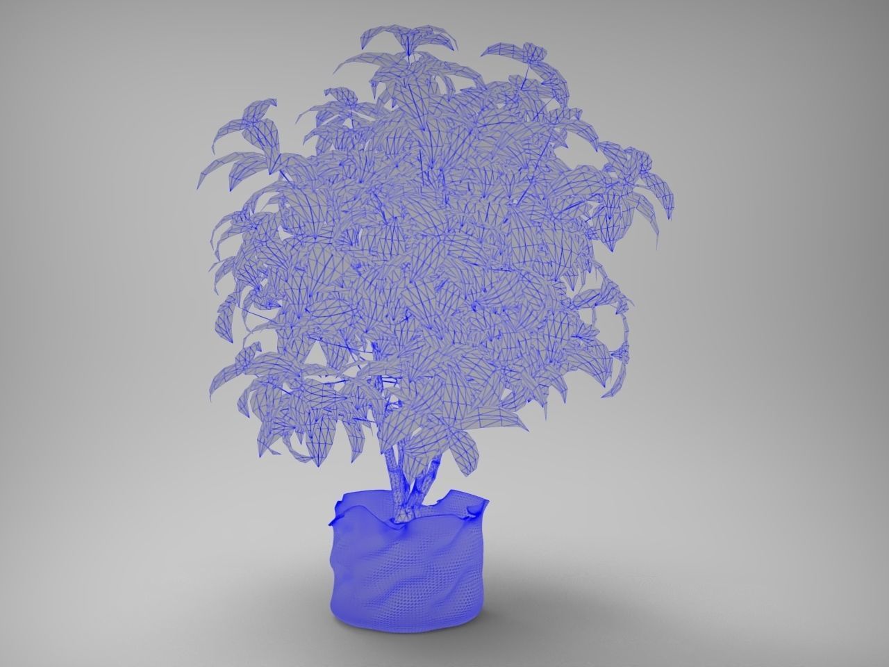 Planter Pot 3D model_6