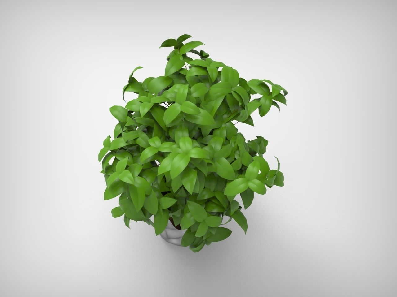 Planter Pot 3D model_3