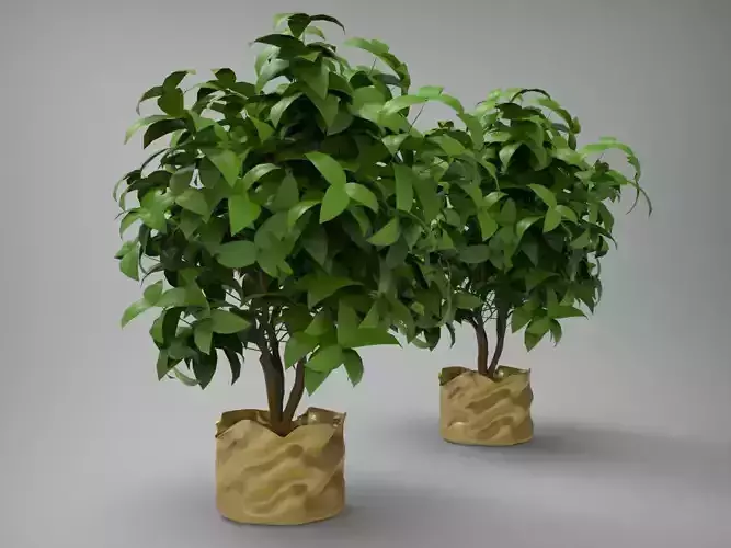 Planter Pot