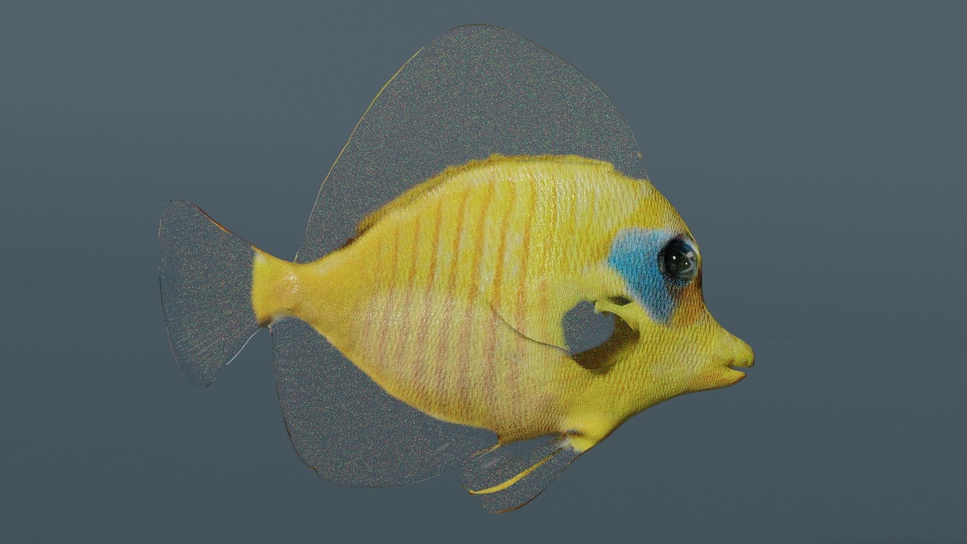 butterfly fish animated Low-poly 3D model_13