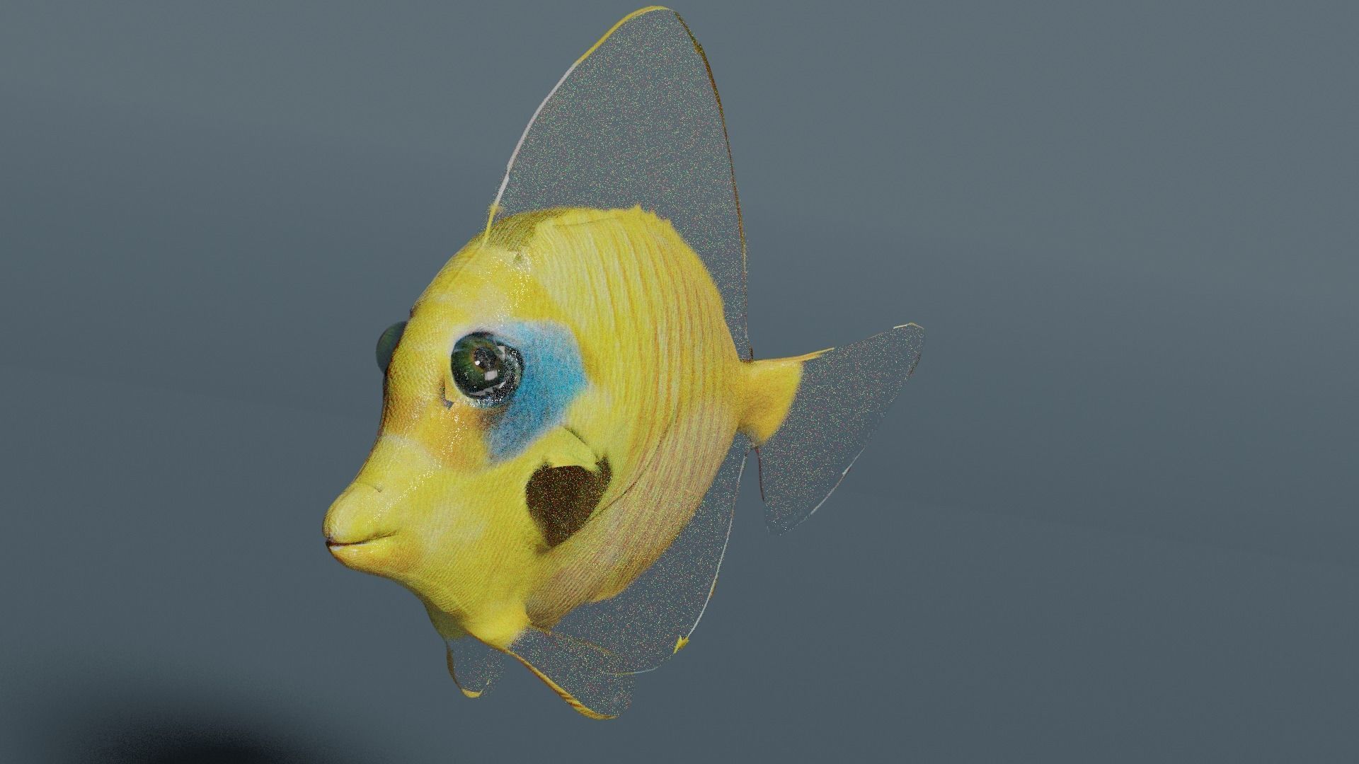 butterfly fish animated Low-poly 3D model_5