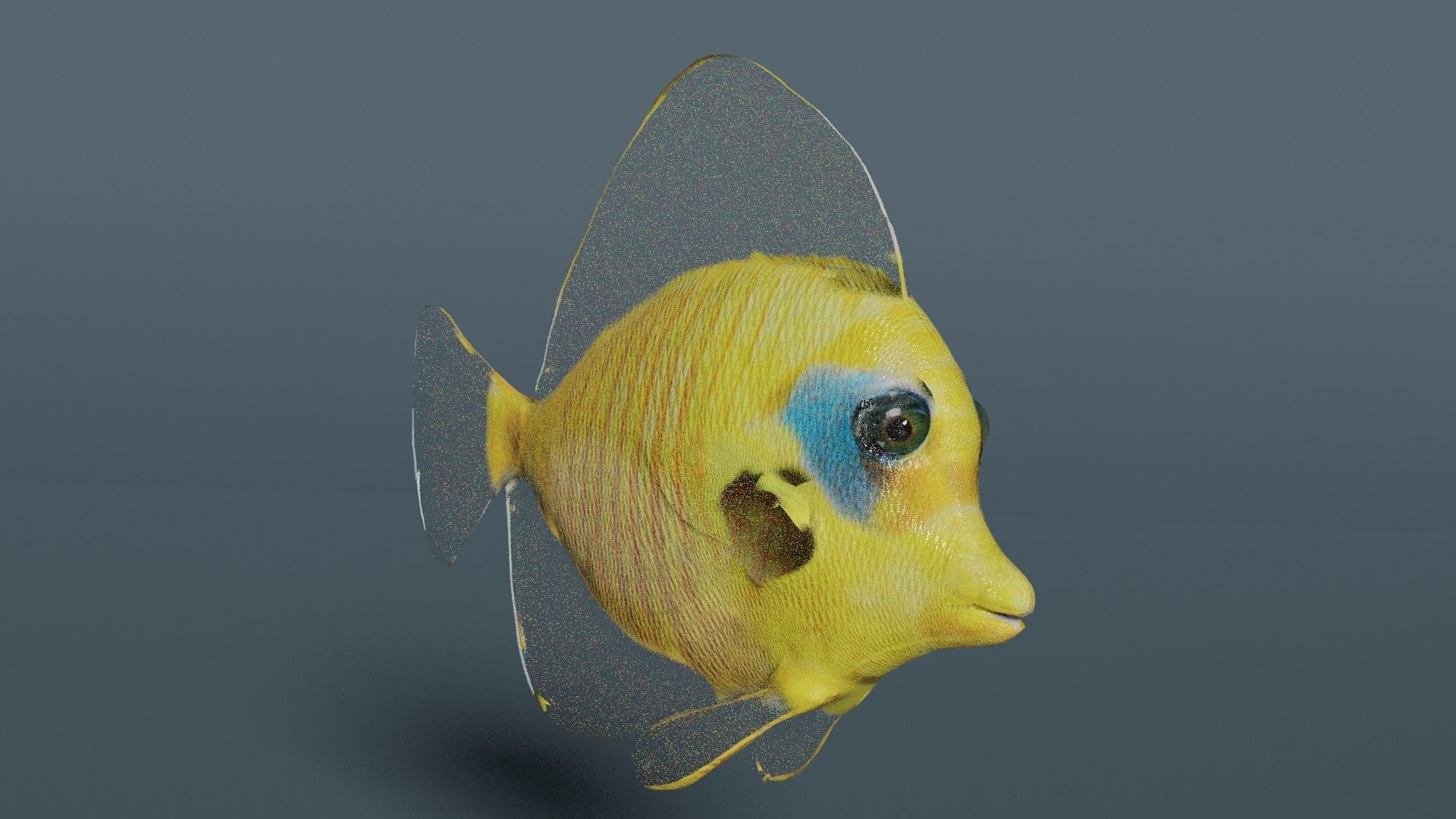 butterfly fish animated Low-poly 3D model_10