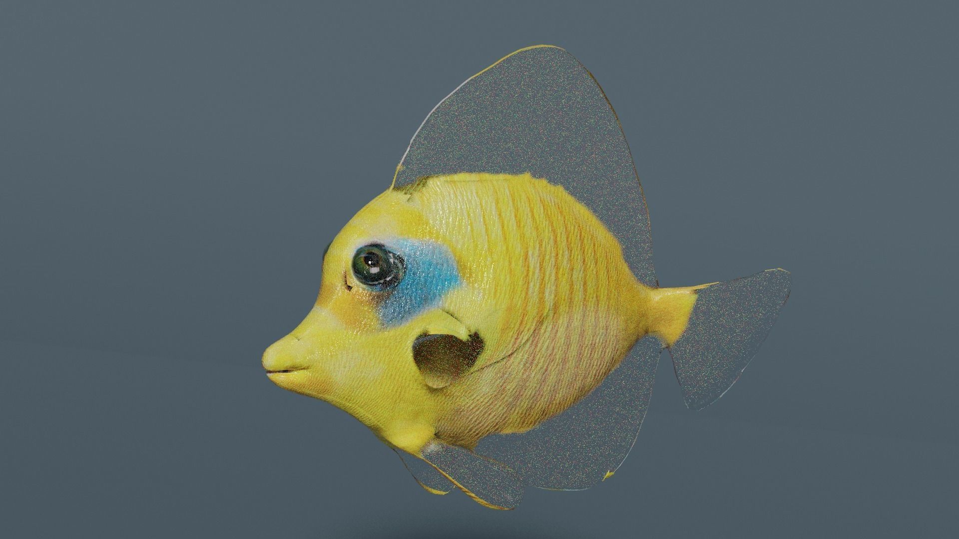 butterfly fish animated Low-poly 3D model_3