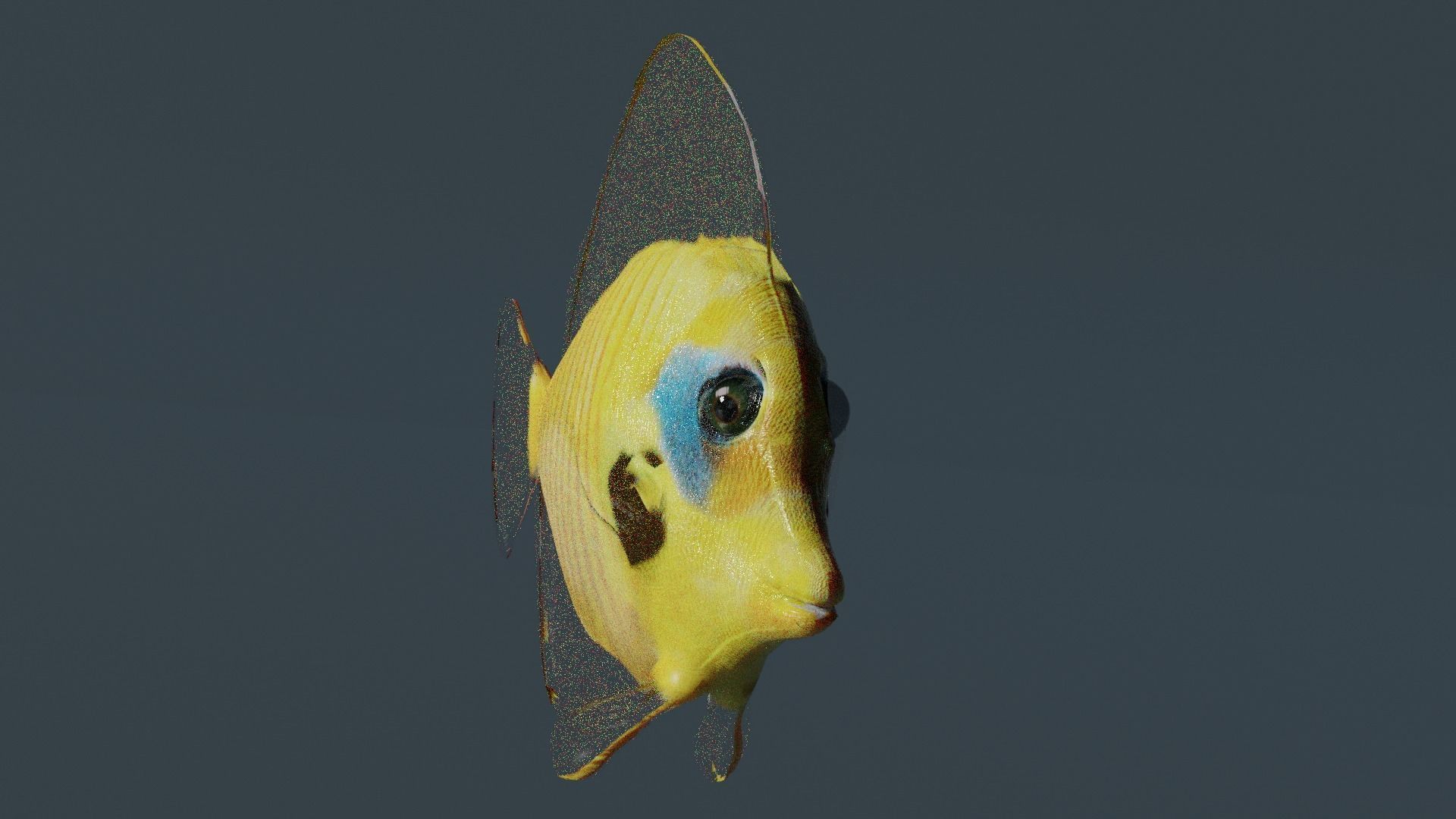 butterfly fish animated Low-poly 3D model_8