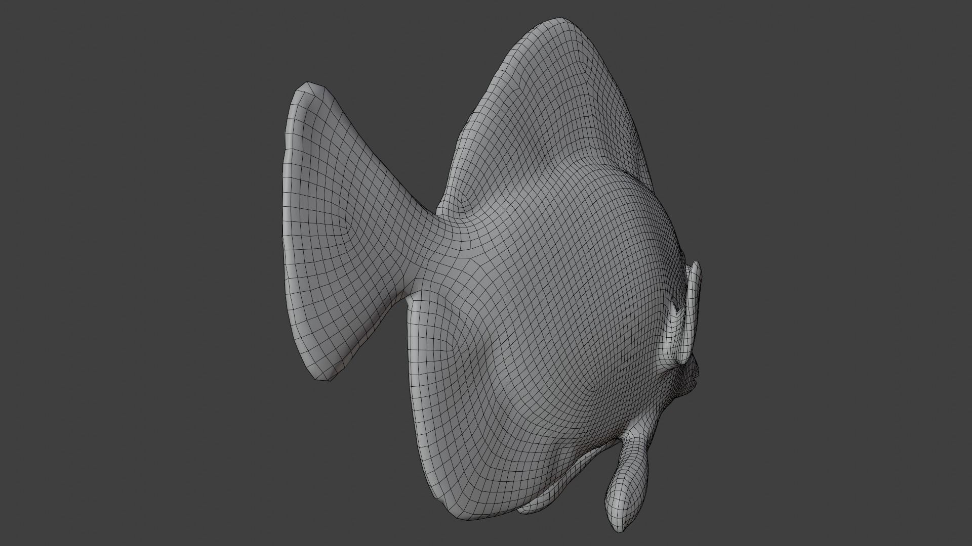 butterfly fish animated Low-poly 3D model_9