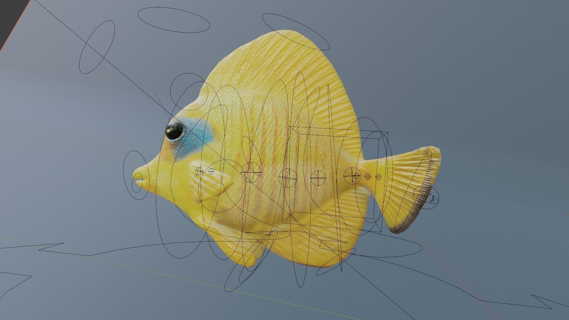 butterfly fish animated Low-poly 3D model_16
