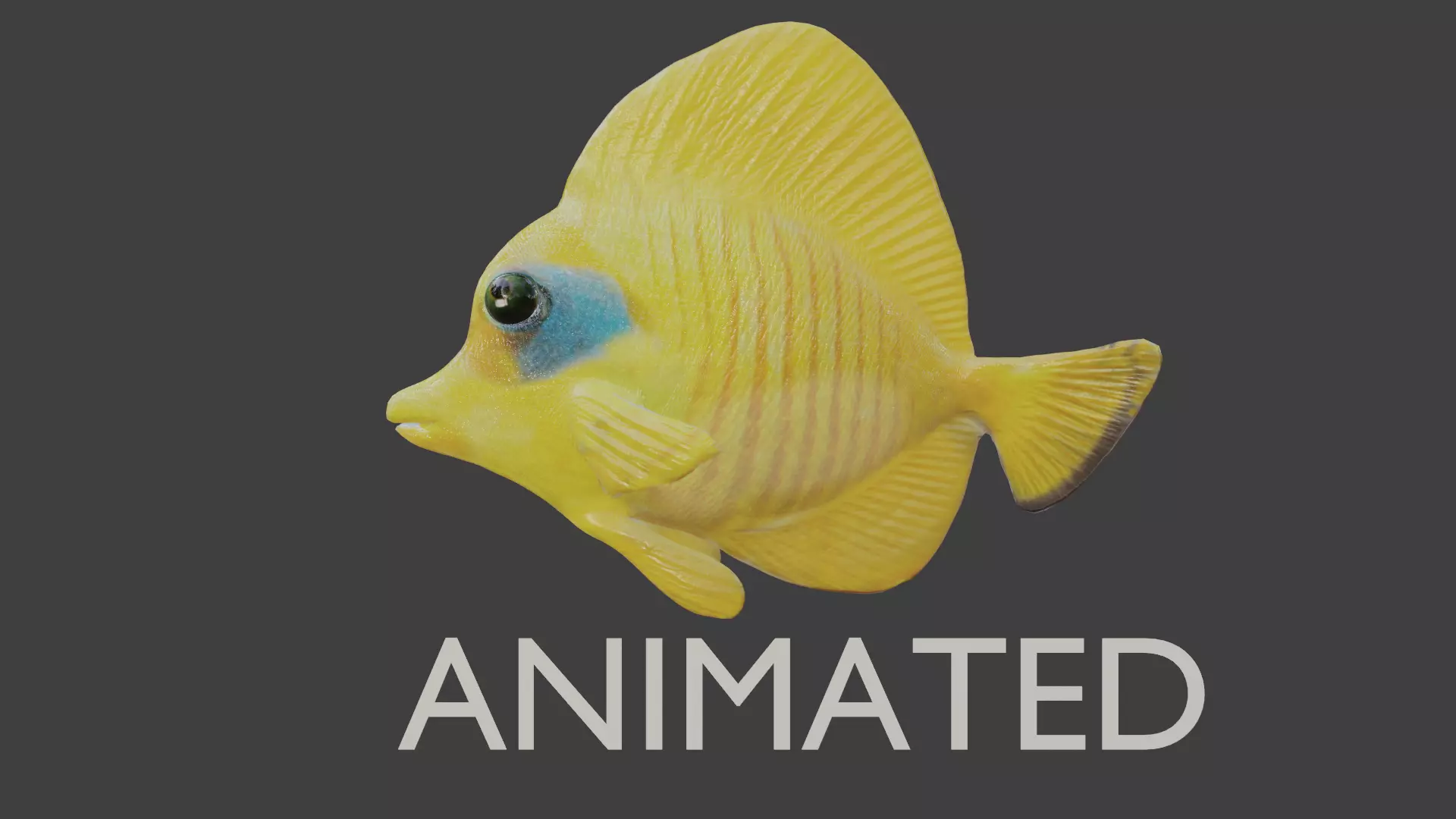 butterfly fish animated Low-poly 3D model_0