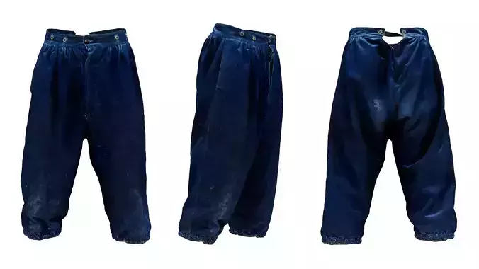 Star Trousers Low-poly 3D model