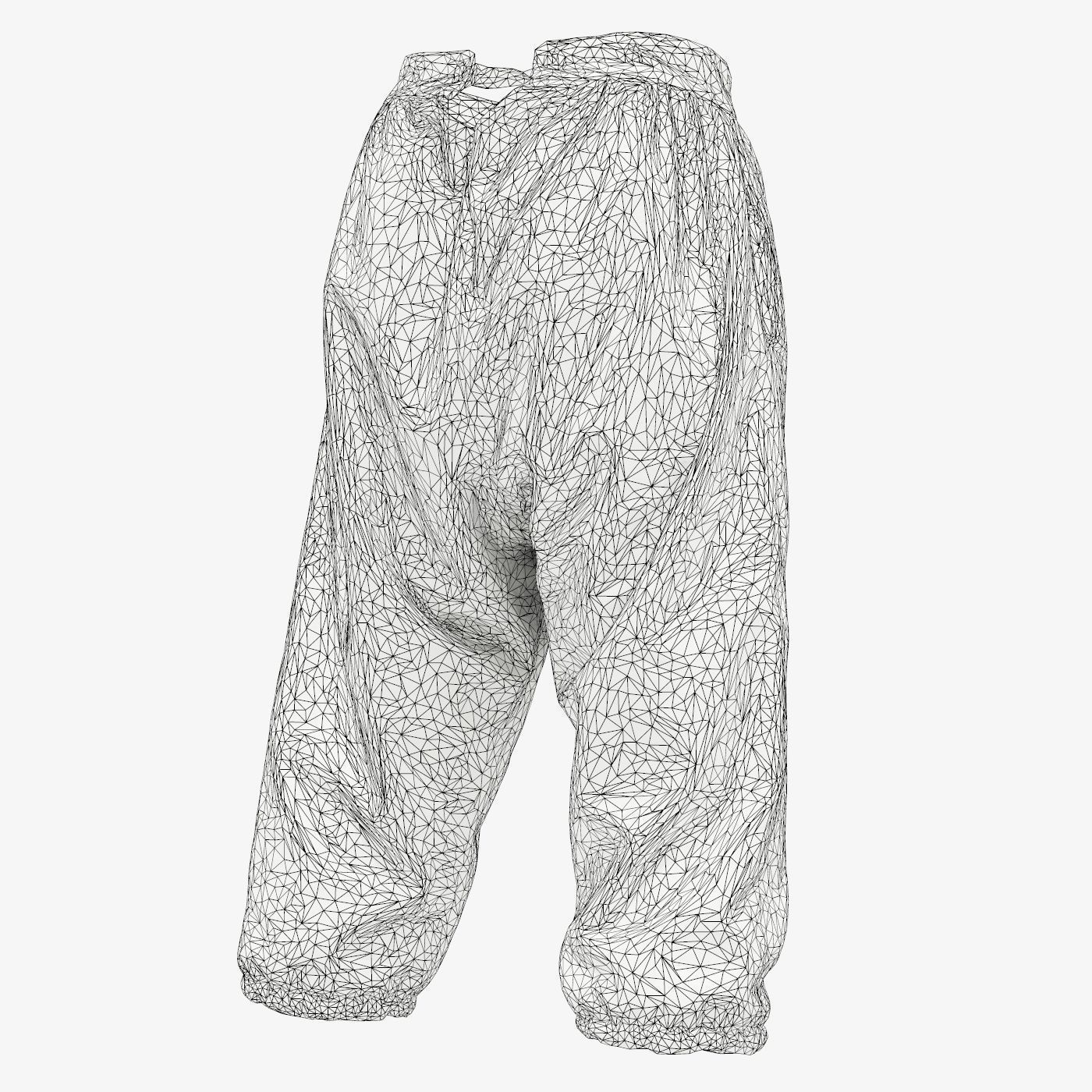 Star Trousers Low-poly 3D model_15