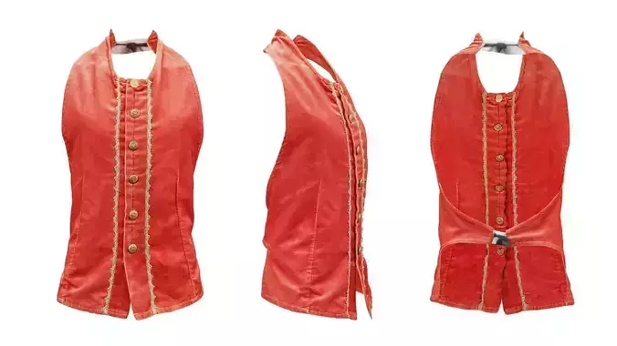 Leaf Vest Low-poly 3D model