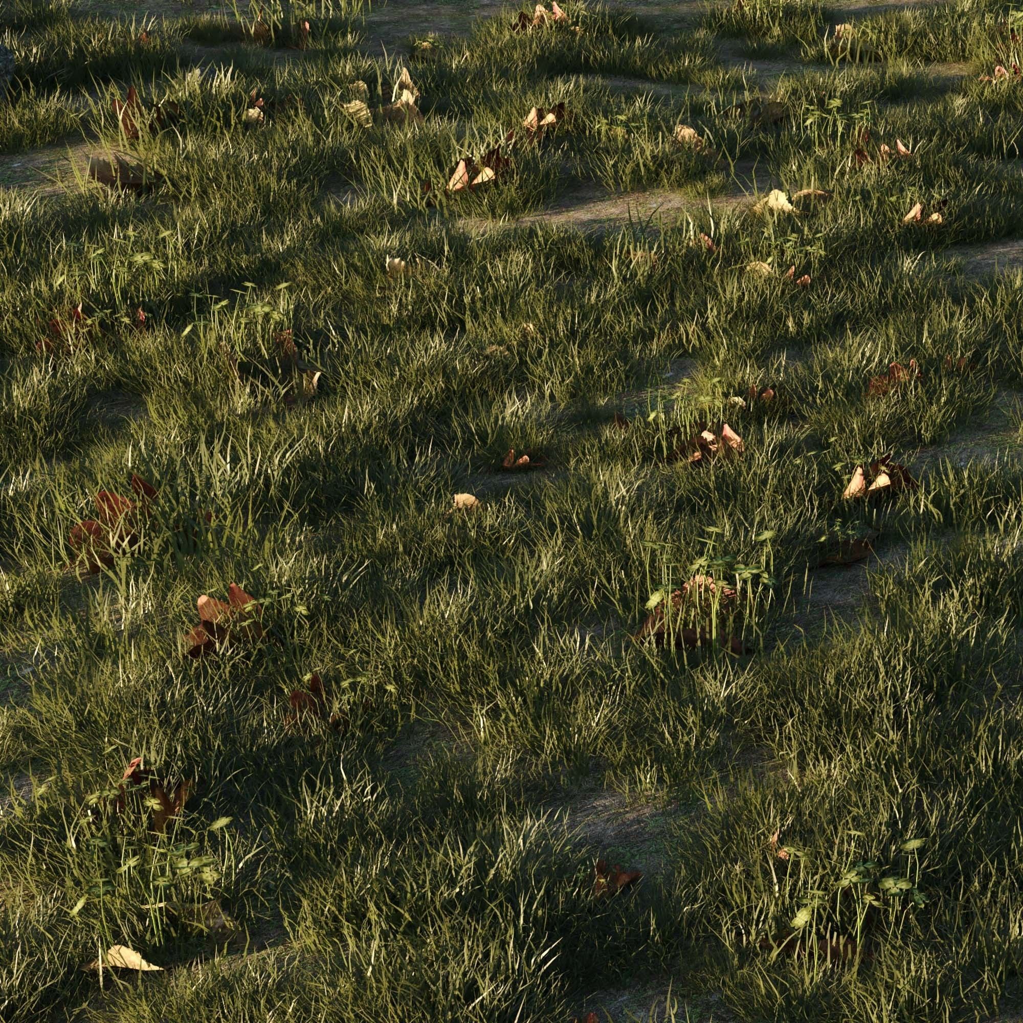 House Grass or Lawns 3D model_5